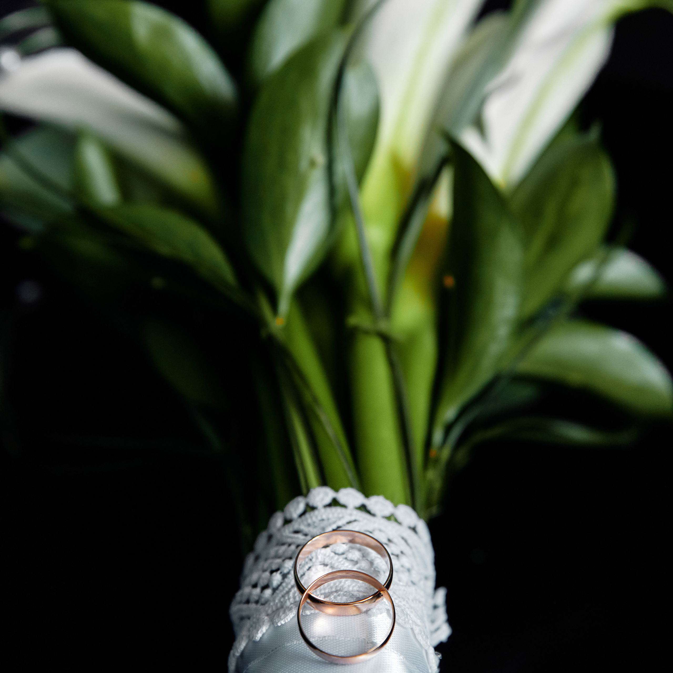 Отзывы. Свадебный и портретный фотограф в Саранске Алексей Миганов