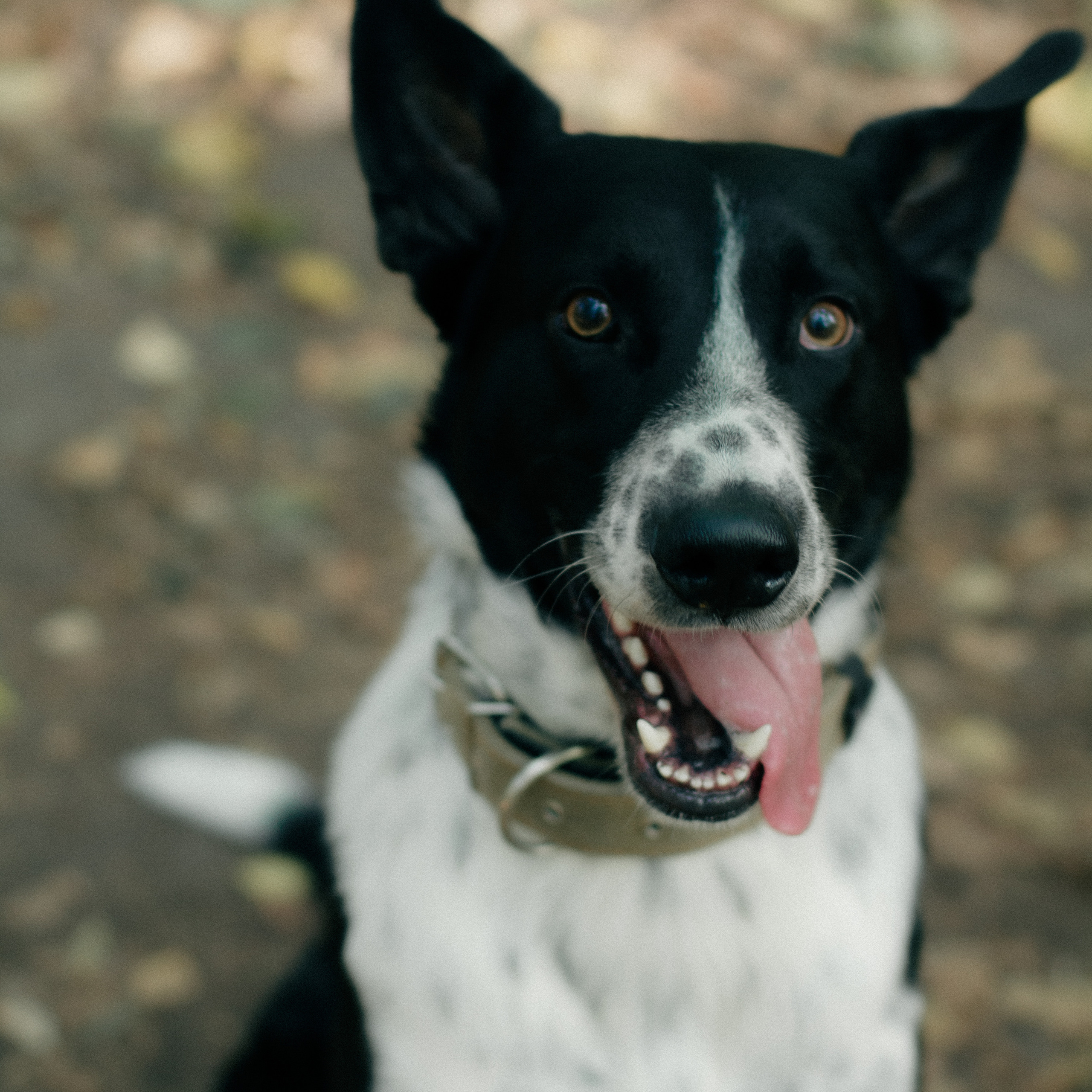 Отзывы. Gerbelfilm.ru