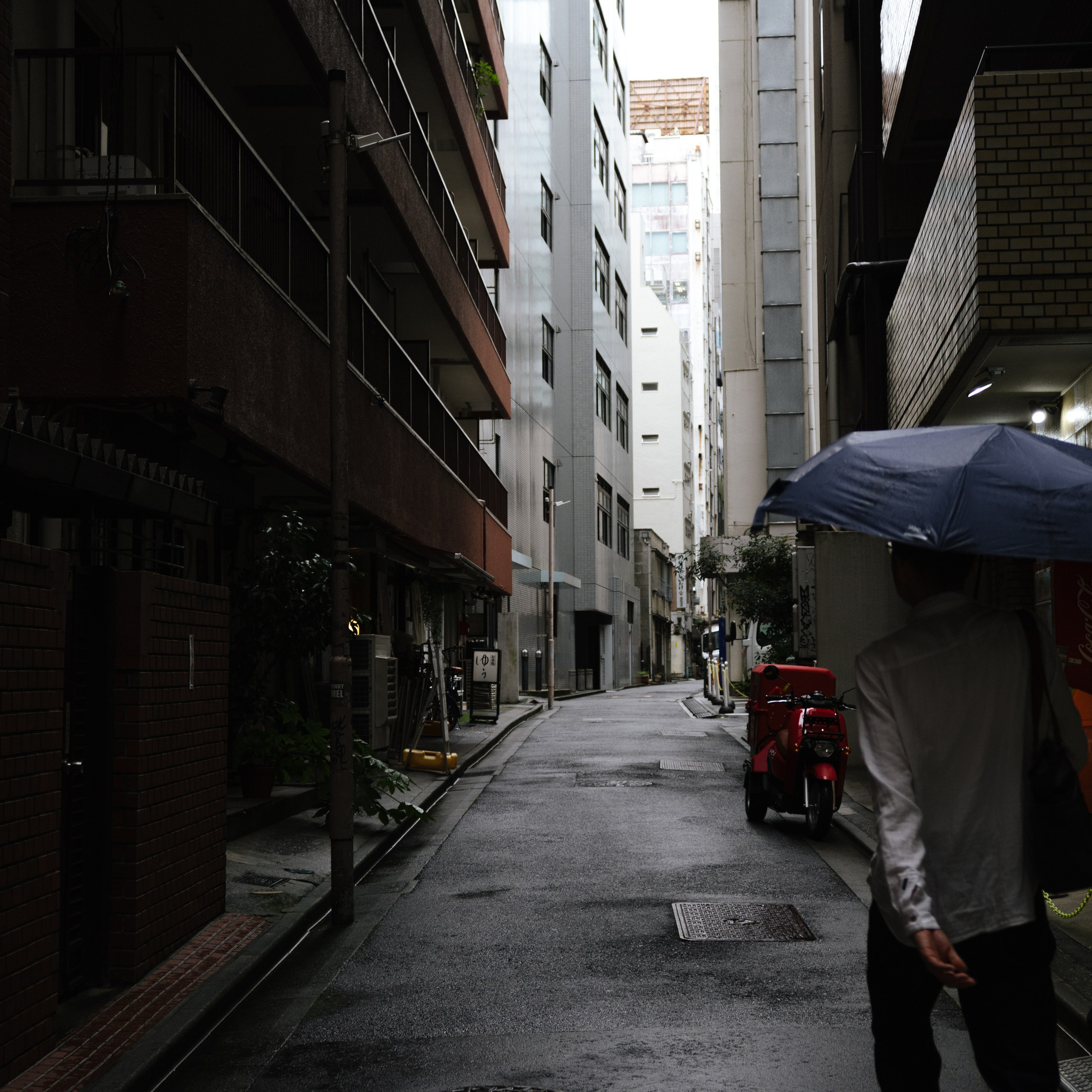 Japan 2.0. IraLaik