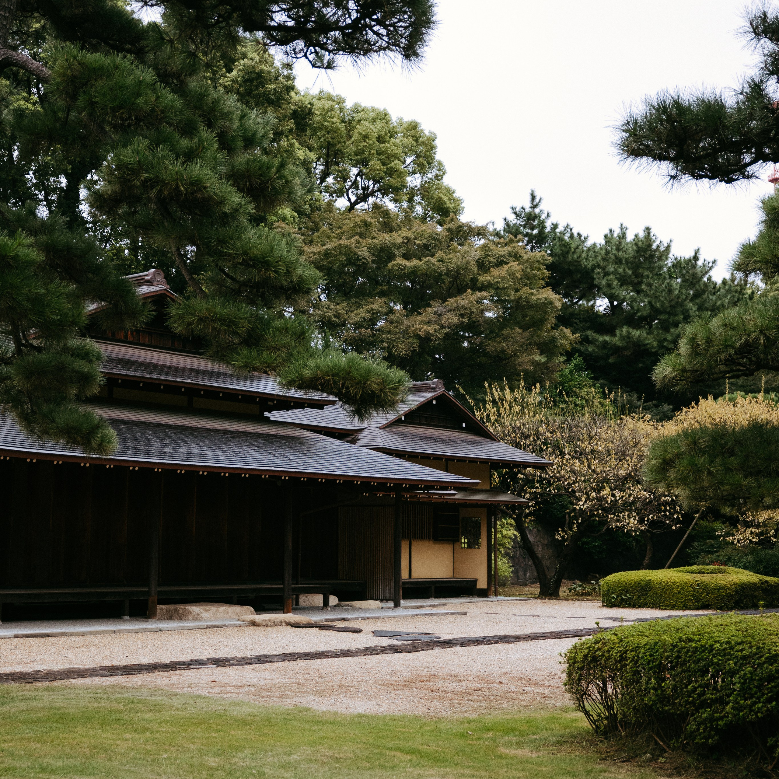 Japan 2.0. IraLaik