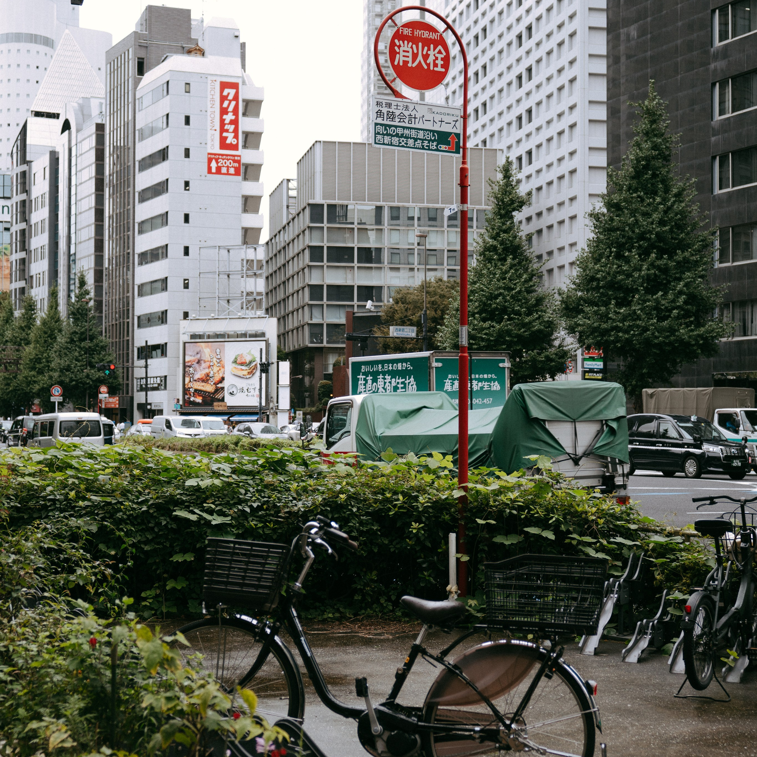 Japan 2.0. IraLaik