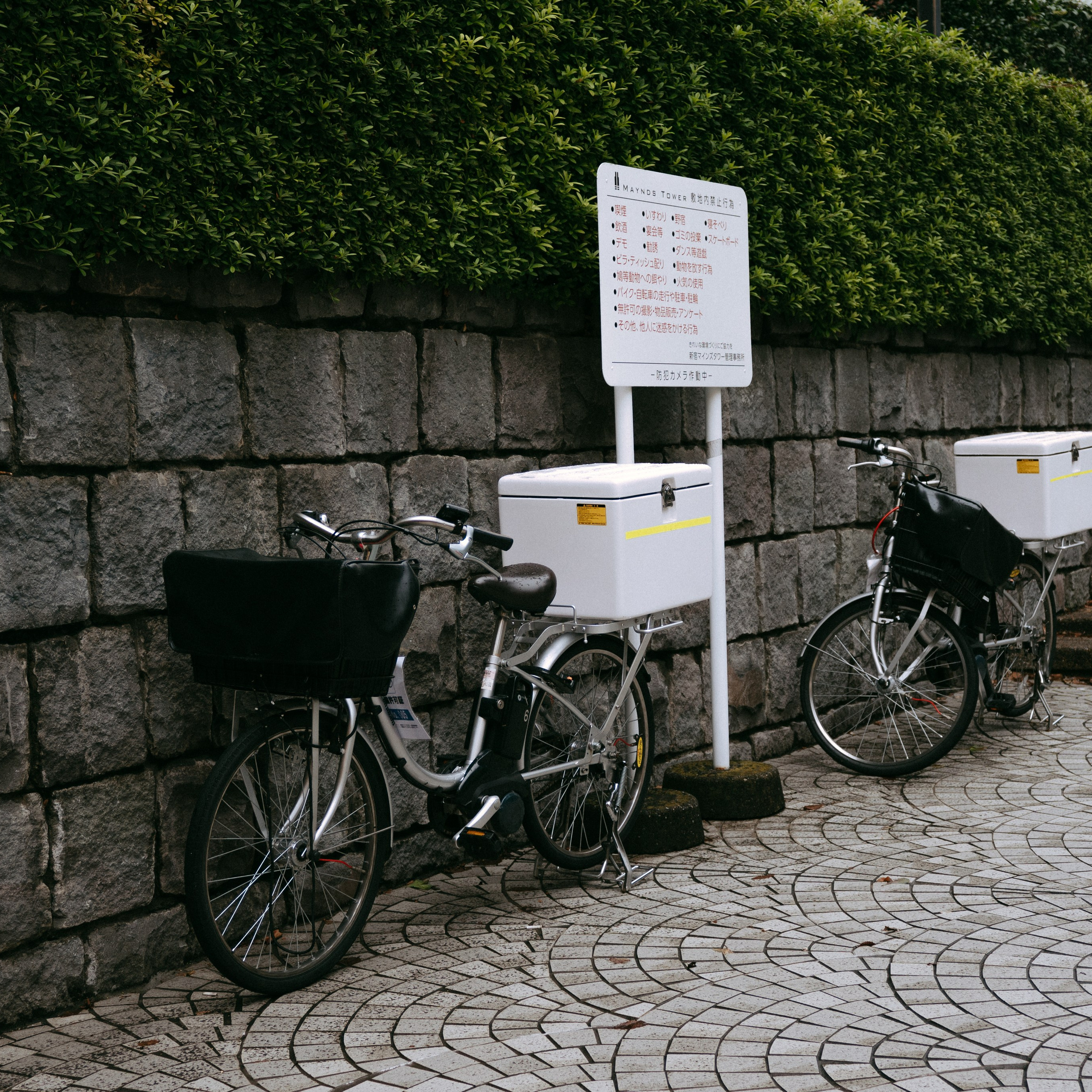 Japan 2.0. IraLaik