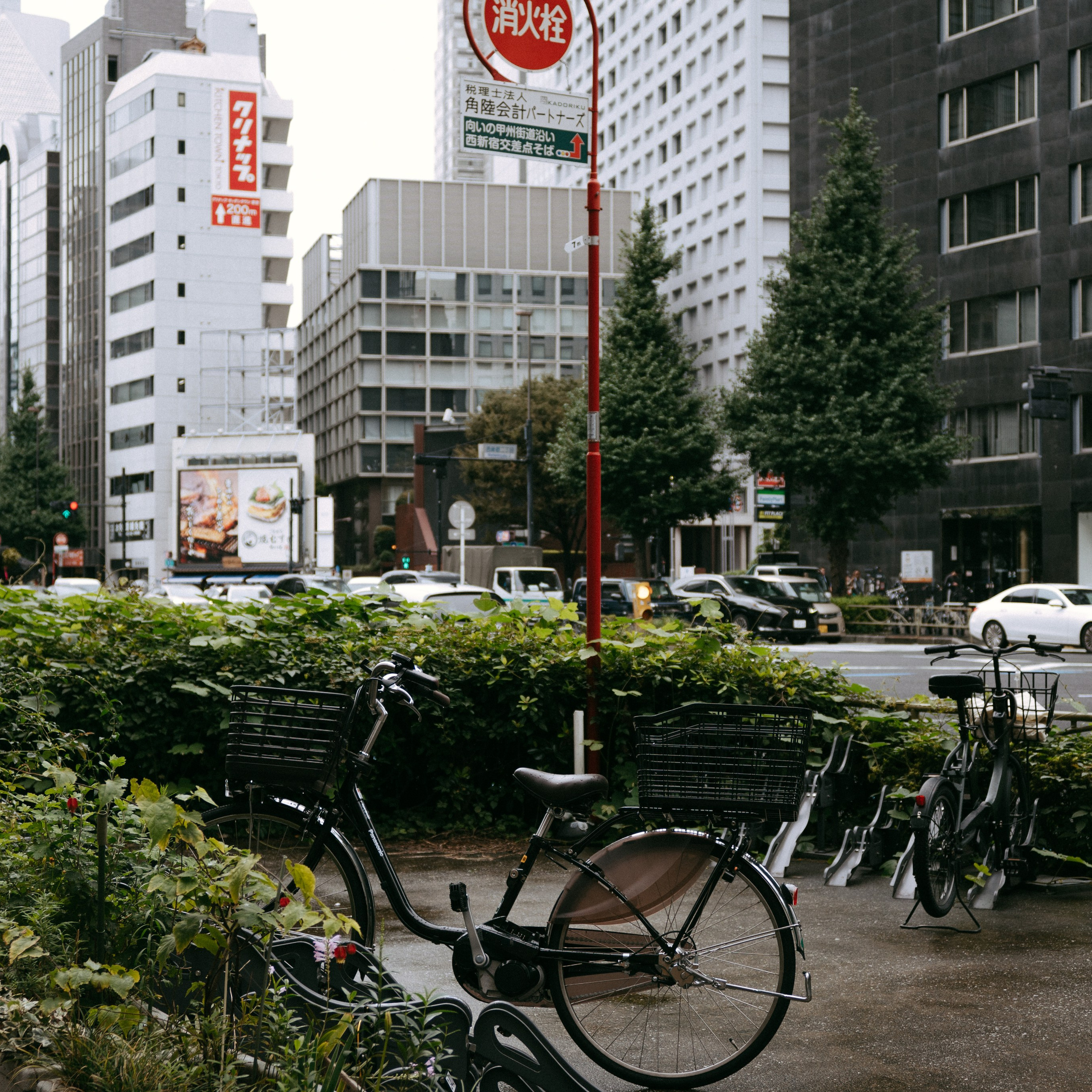 Japan 2.0. IraLaik