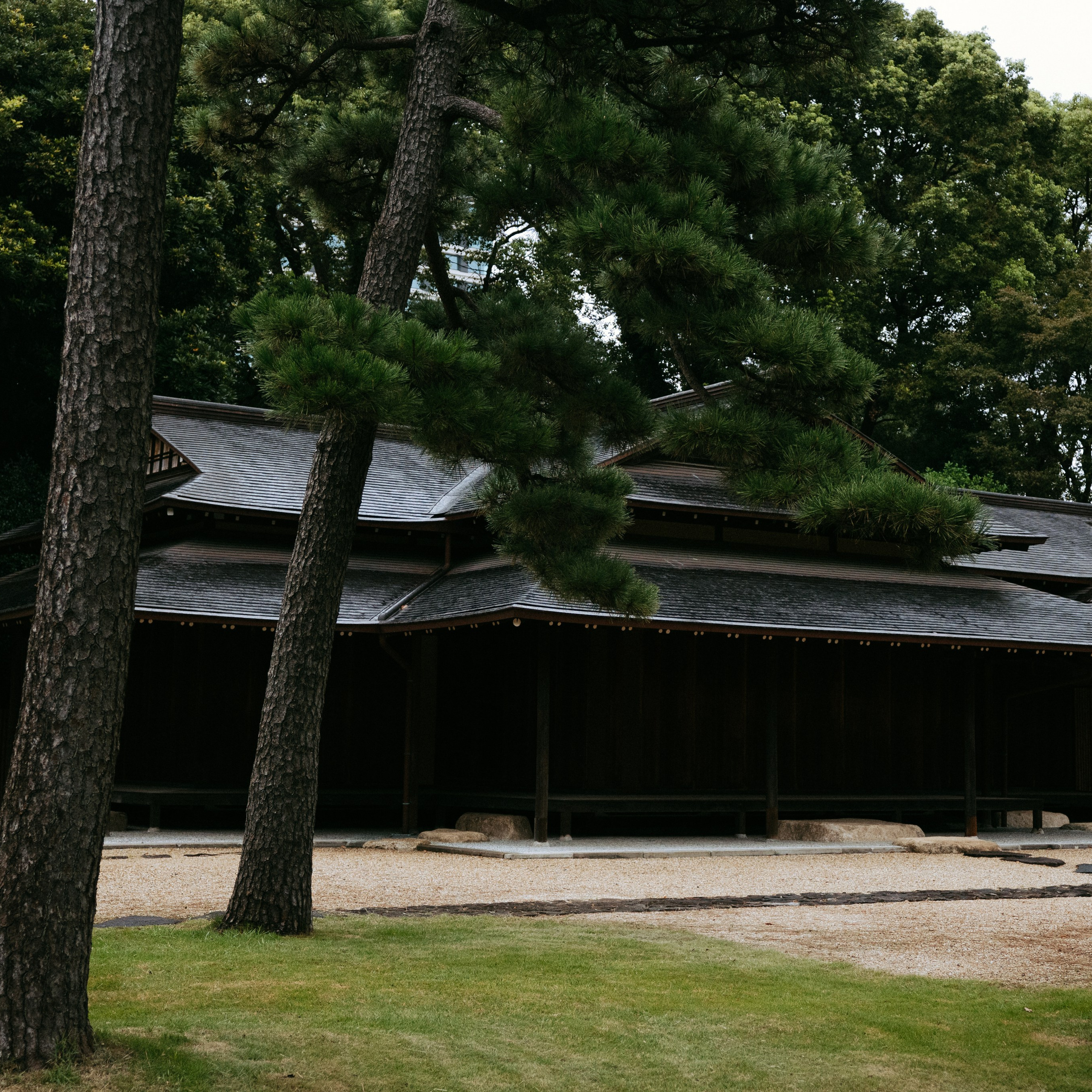 Japan 2.0. IraLaik