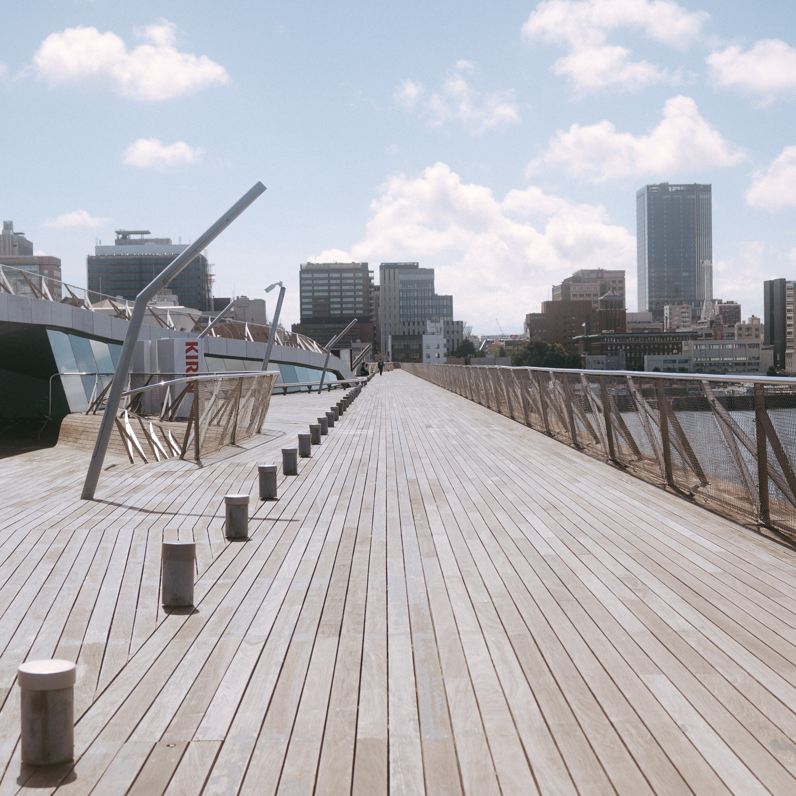 Japan 2.0. IraLaik