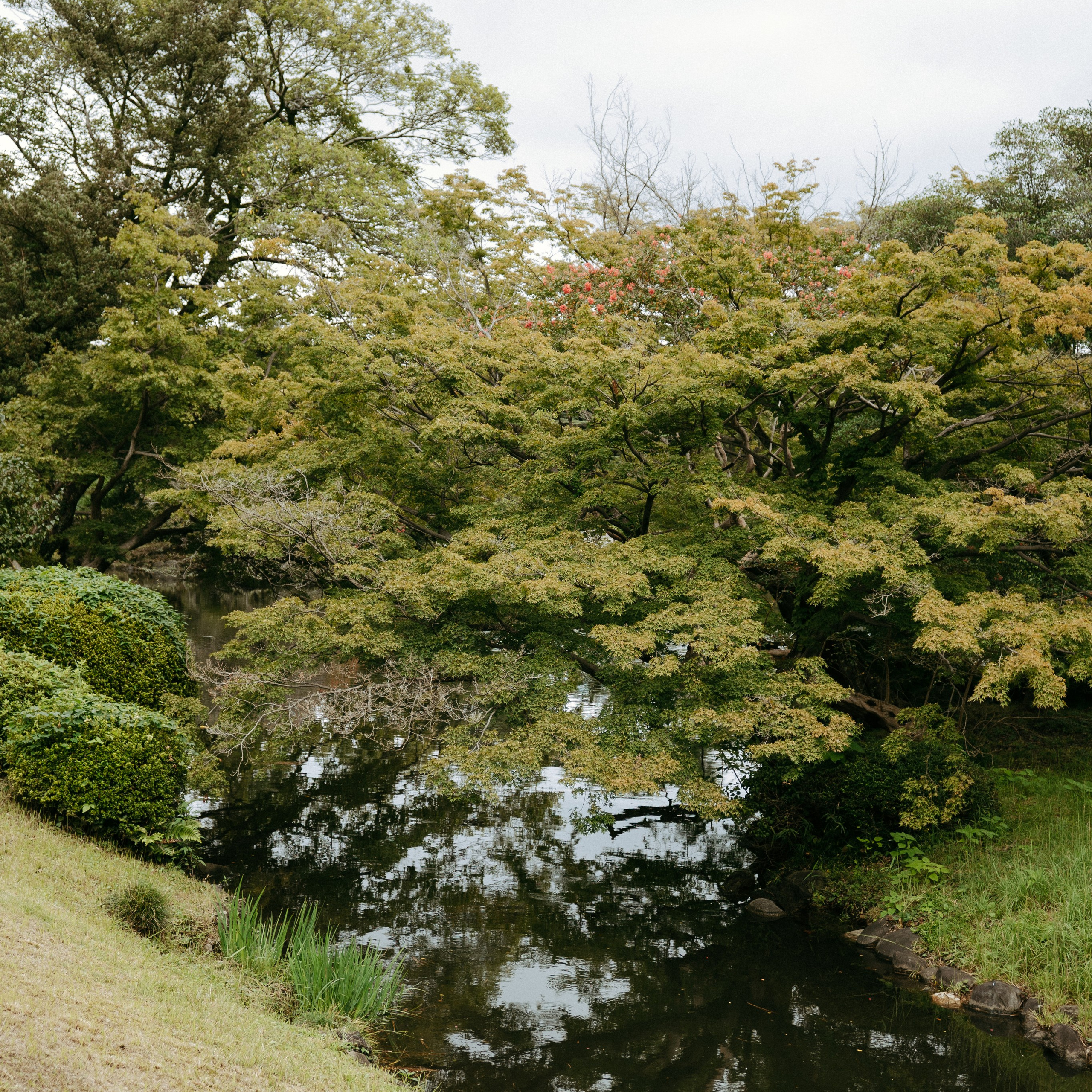 Japan 2.0. IraLaik