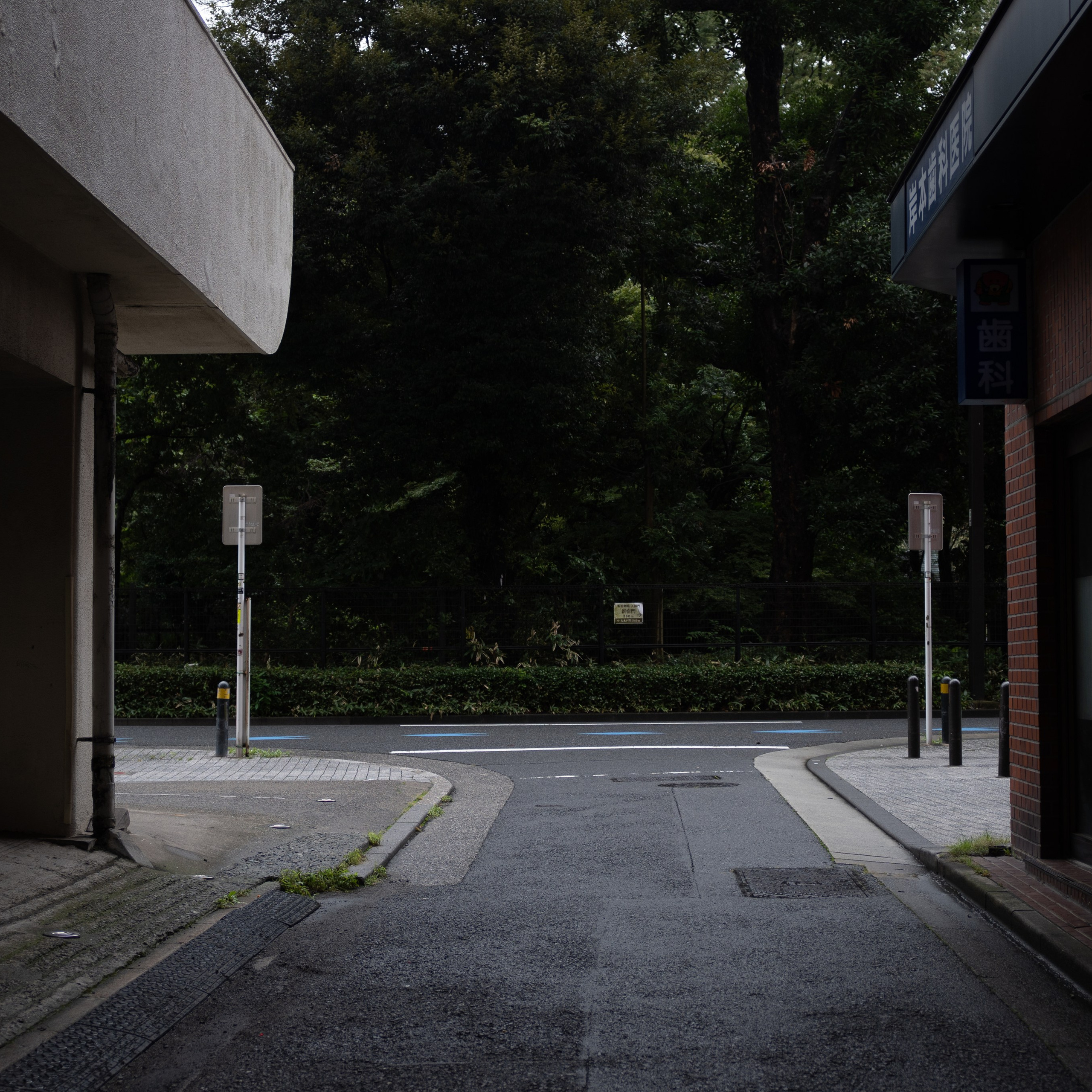 Japan 2.0. IraLaik