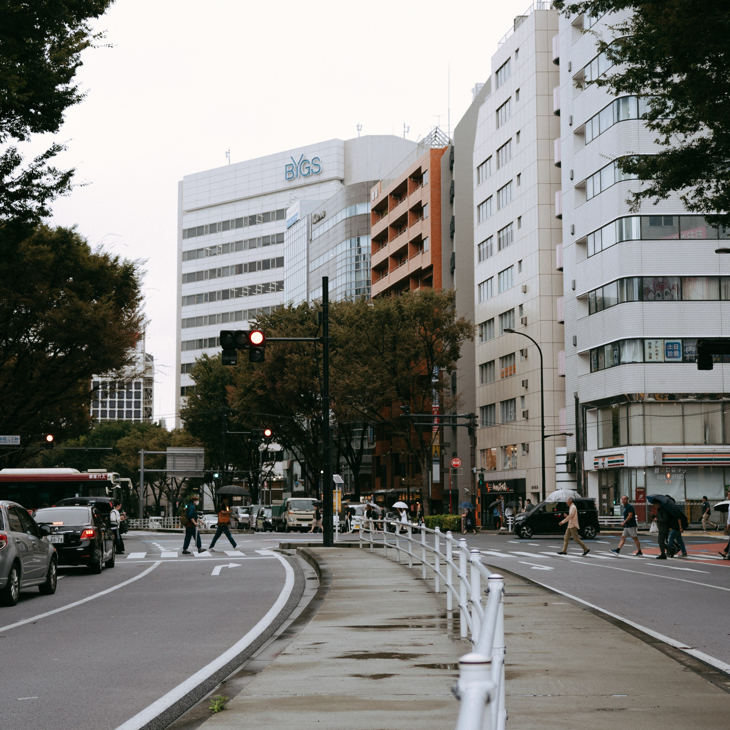Japan 2.0. IraLaik