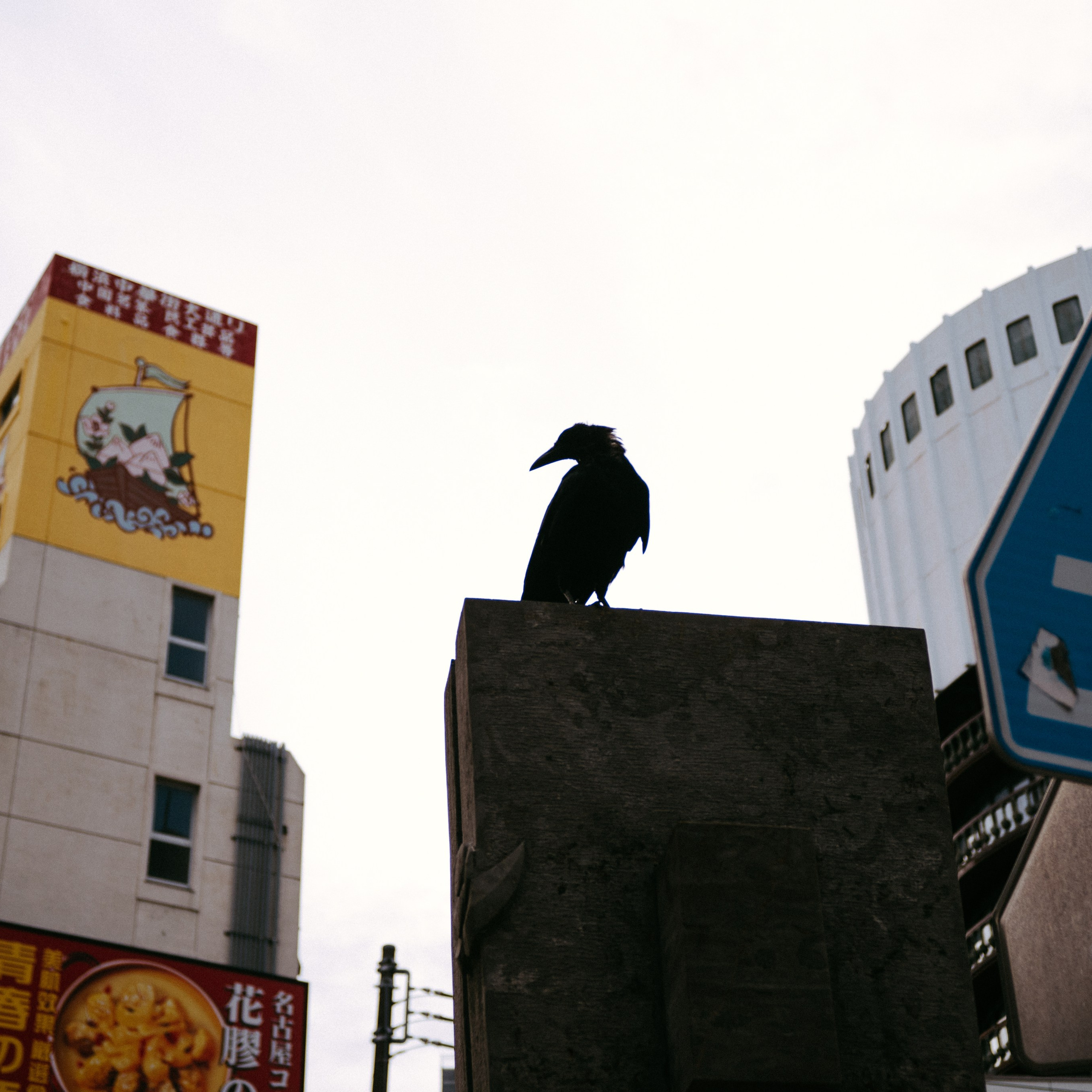 Japan 2.0. IraLaik