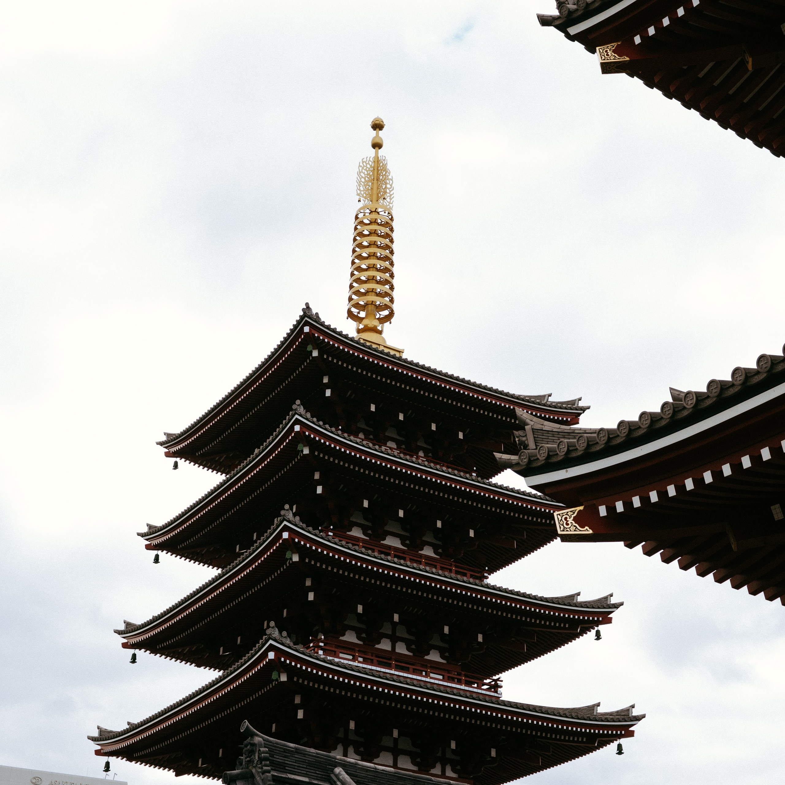 Japan 2.0. IraLaik