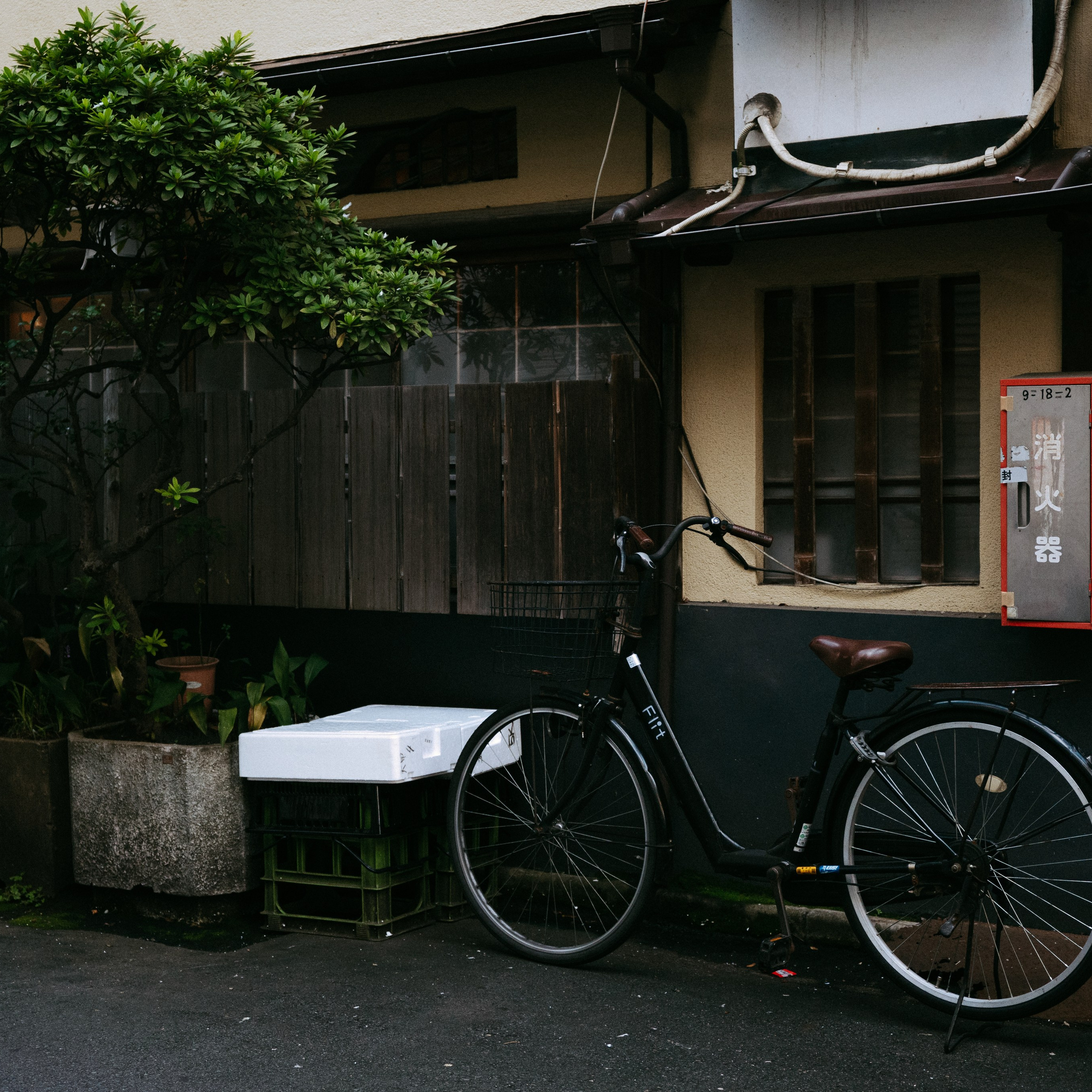 Japan 2.0. IraLaik