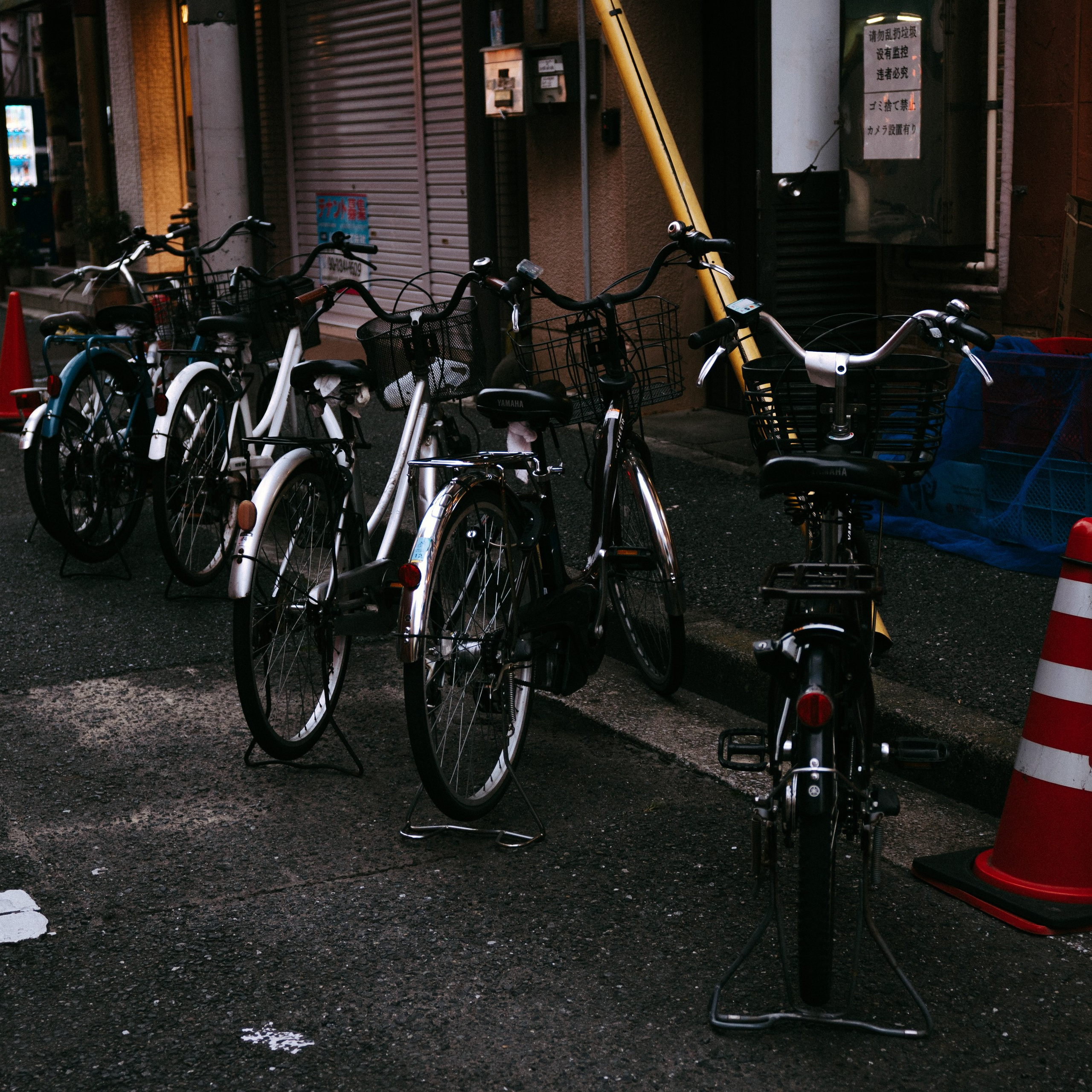 Japan 2.0. IraLaik