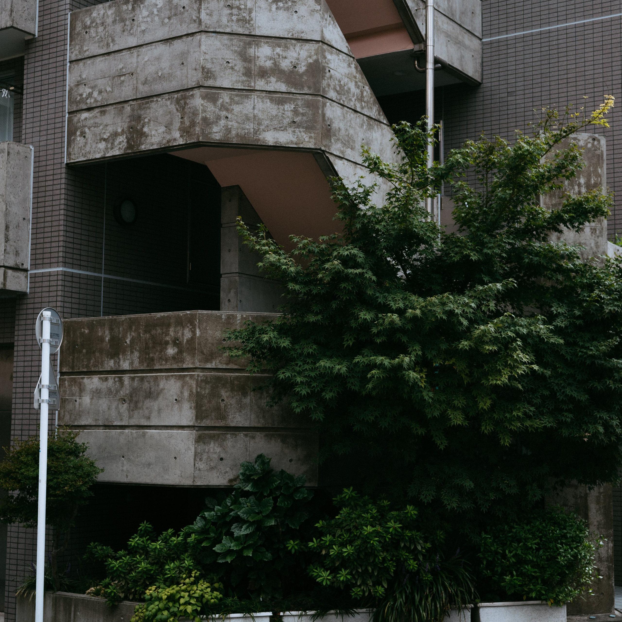 Japan 2.0. IraLaik