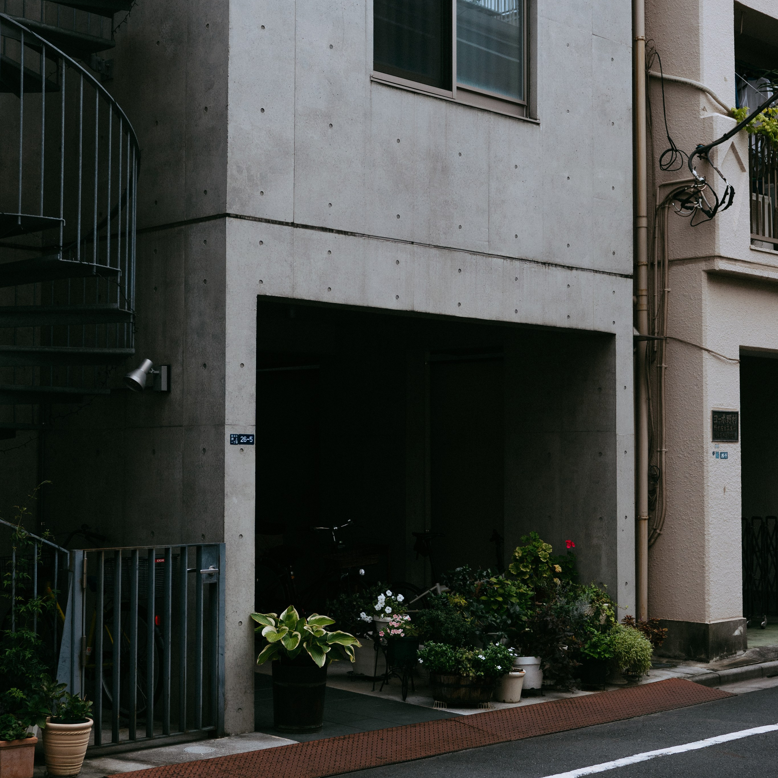 Japan 2.0. IraLaik