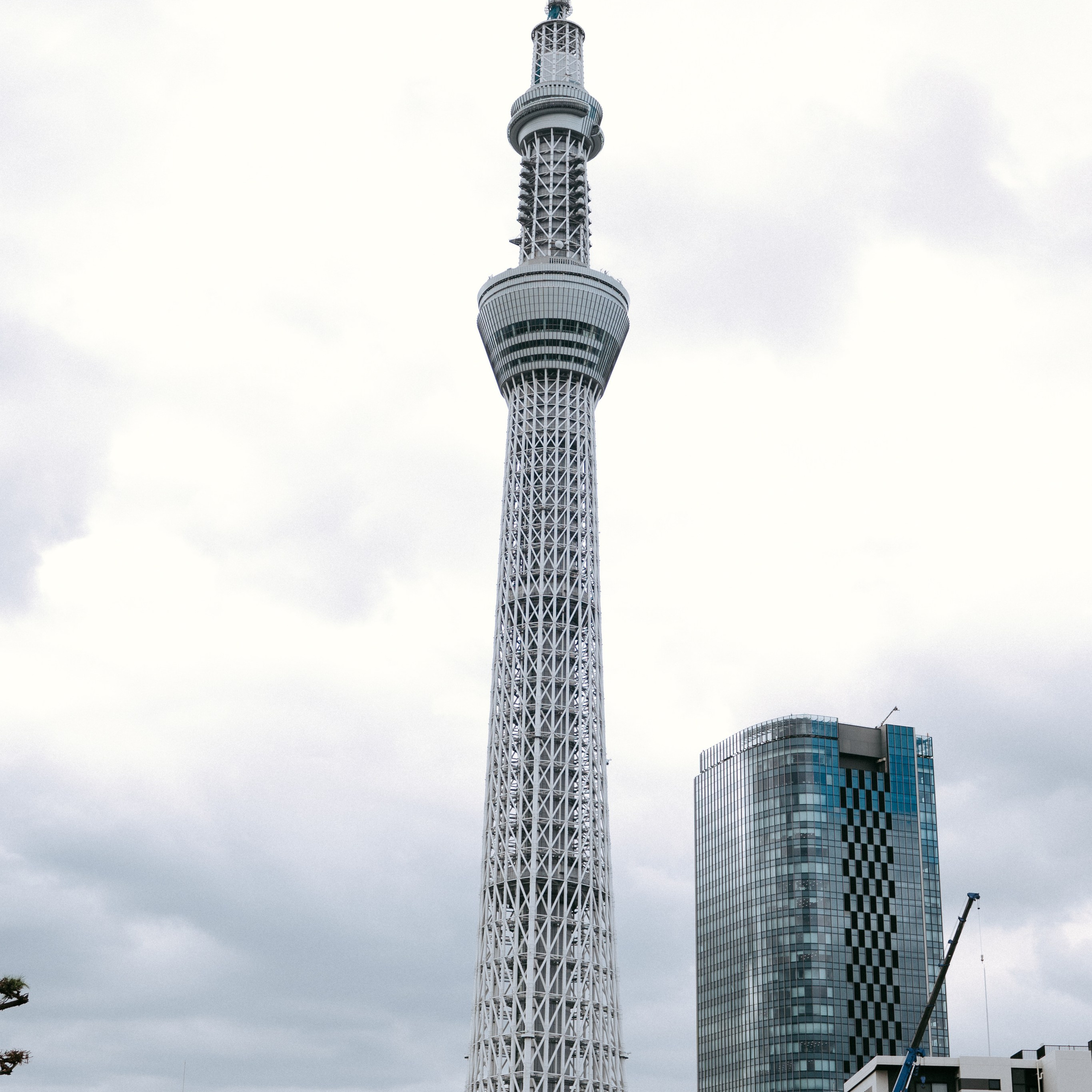 Japan 2.0. IraLaik