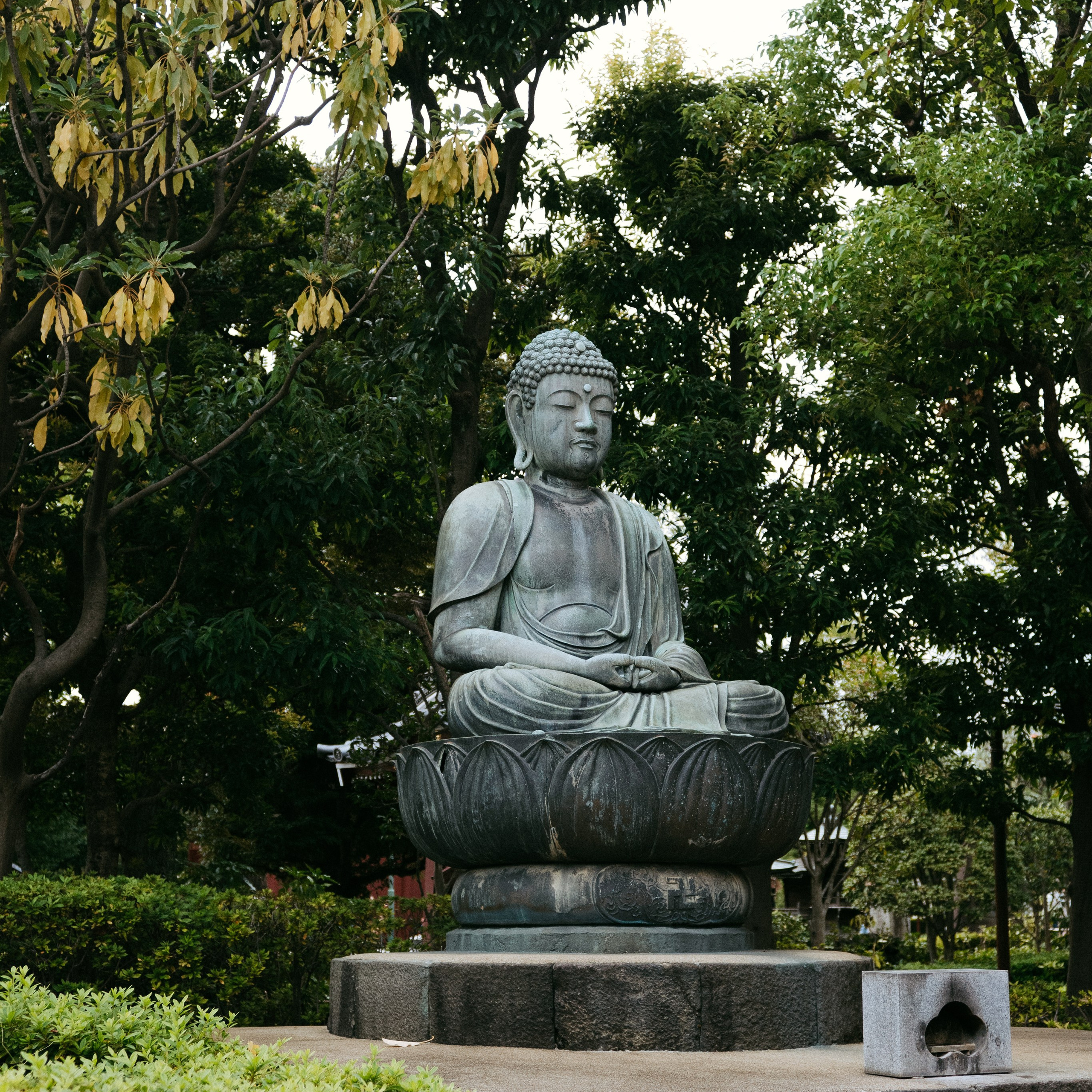 Japan 2.0. IraLaik