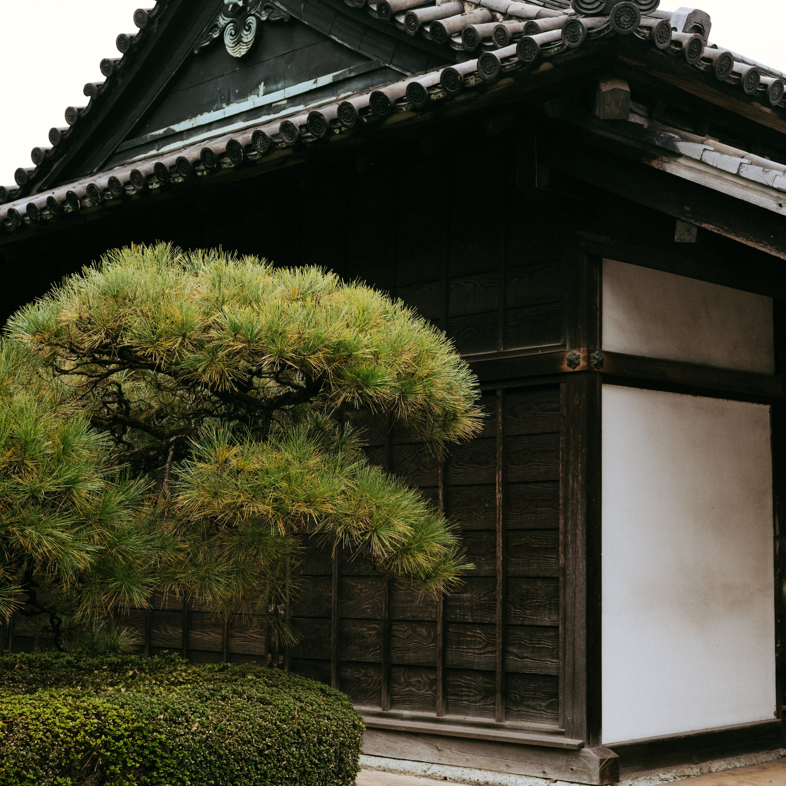 Japan 2.0. IraLaik