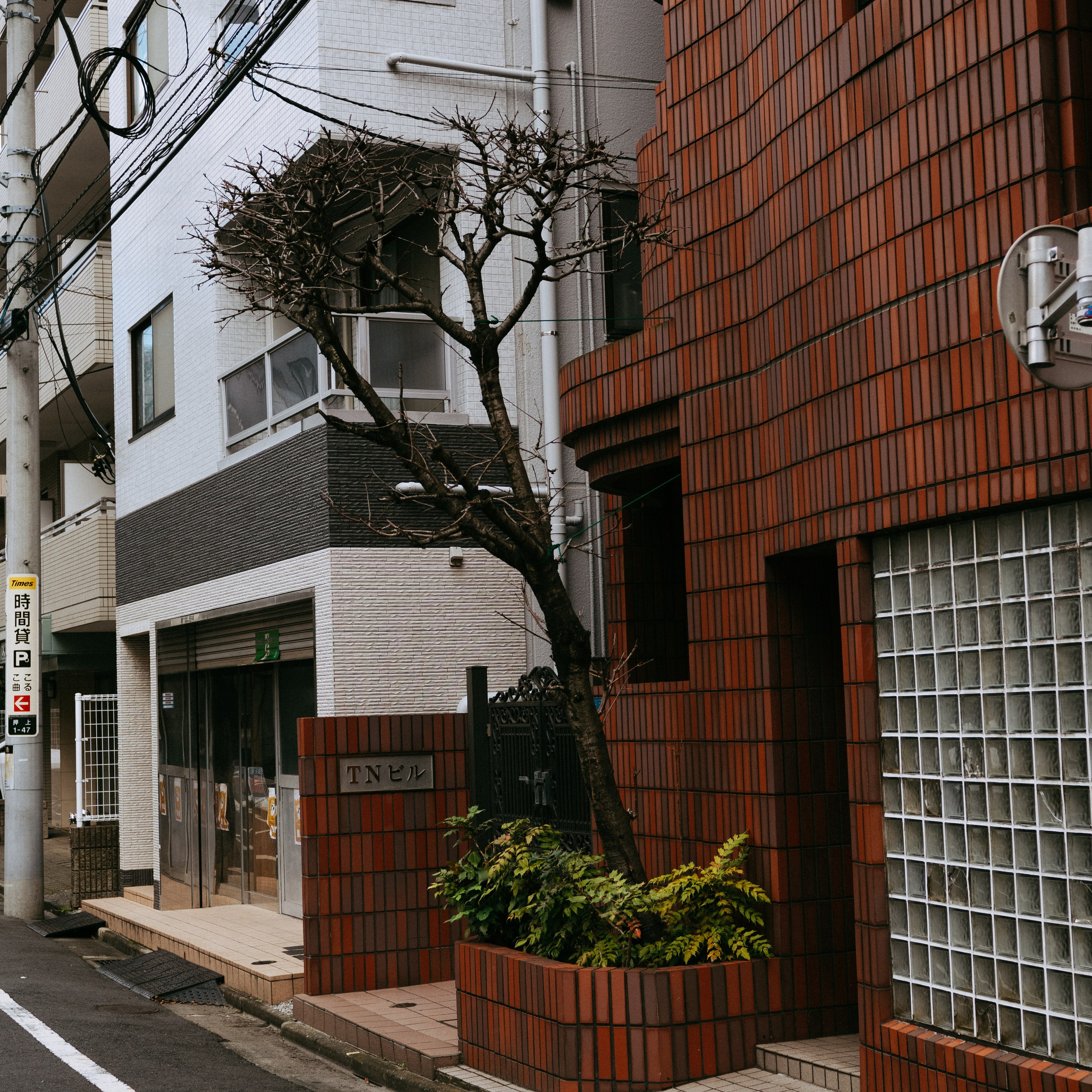 Japan 2.0. IraLaik