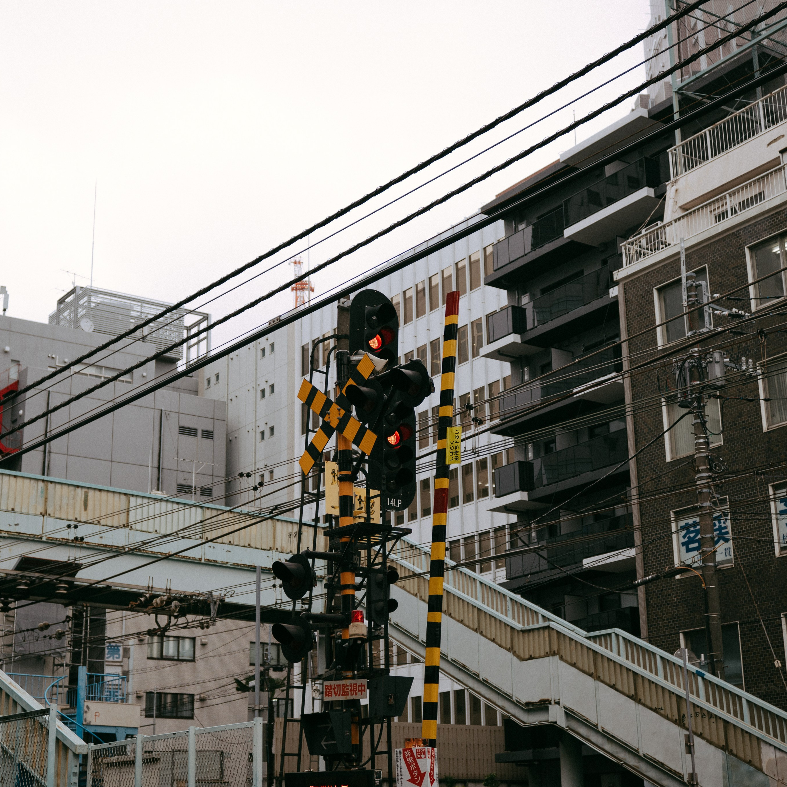 Japan 2.0. IraLaik