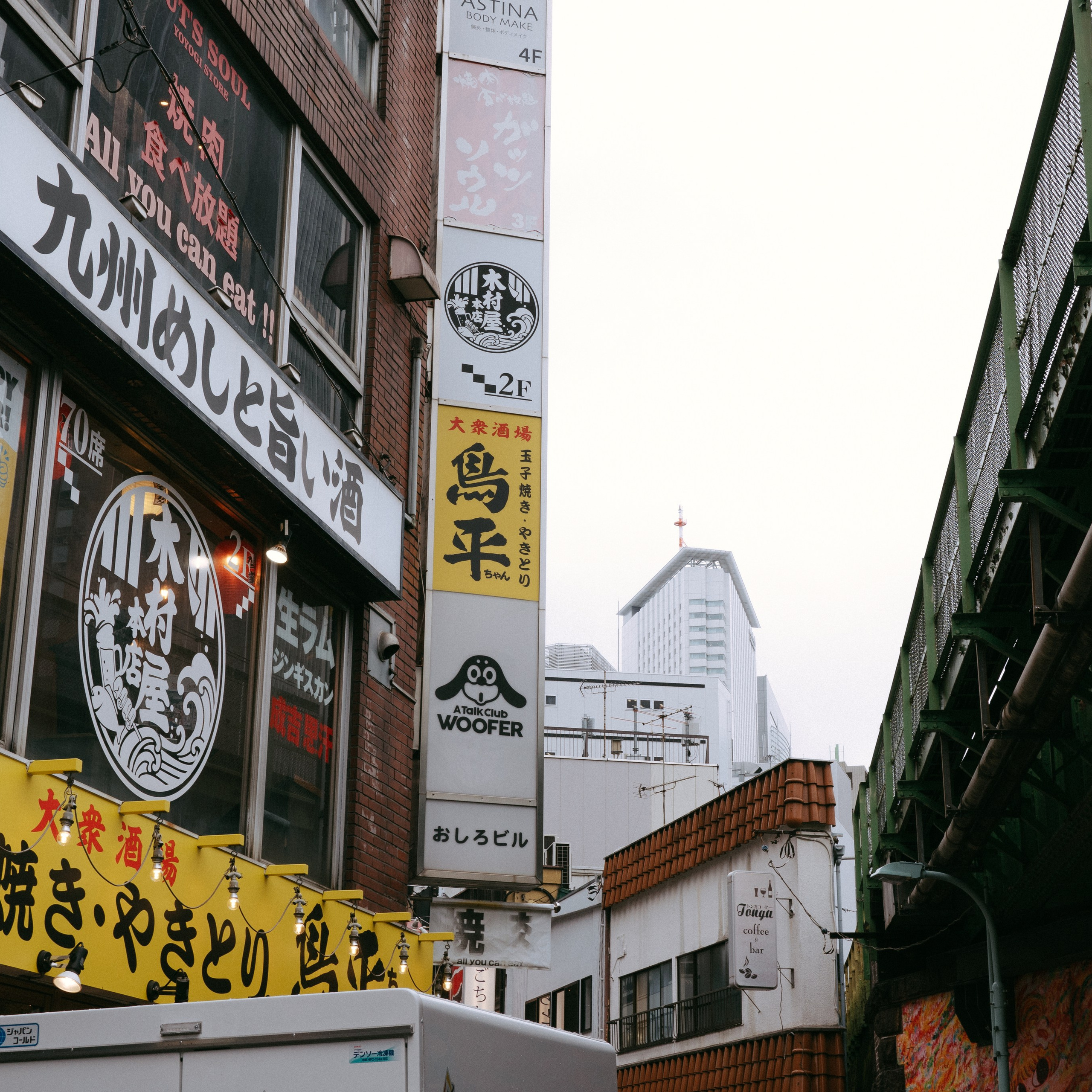 Japan 2.0. IraLaik