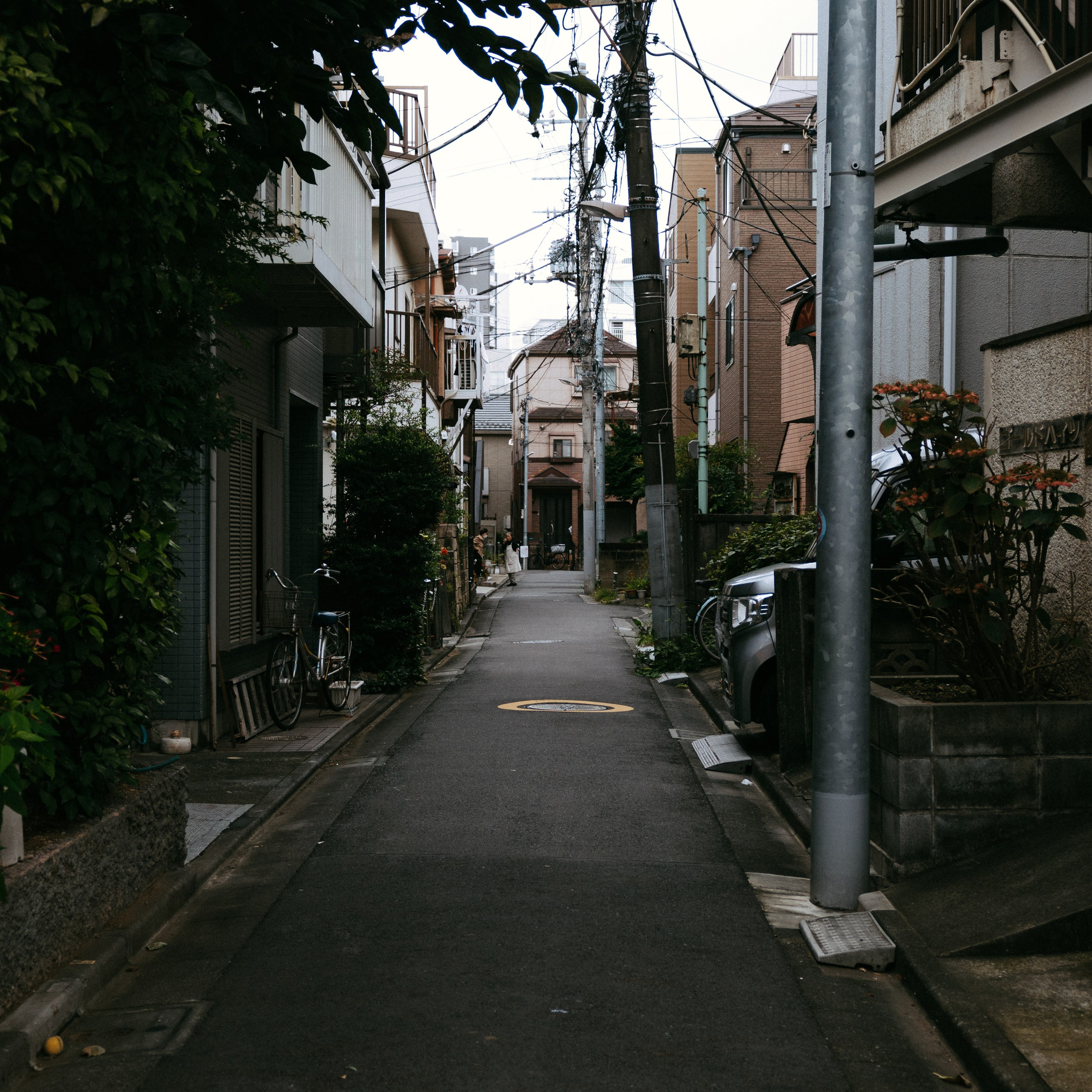 Japan 2.0. IraLaik