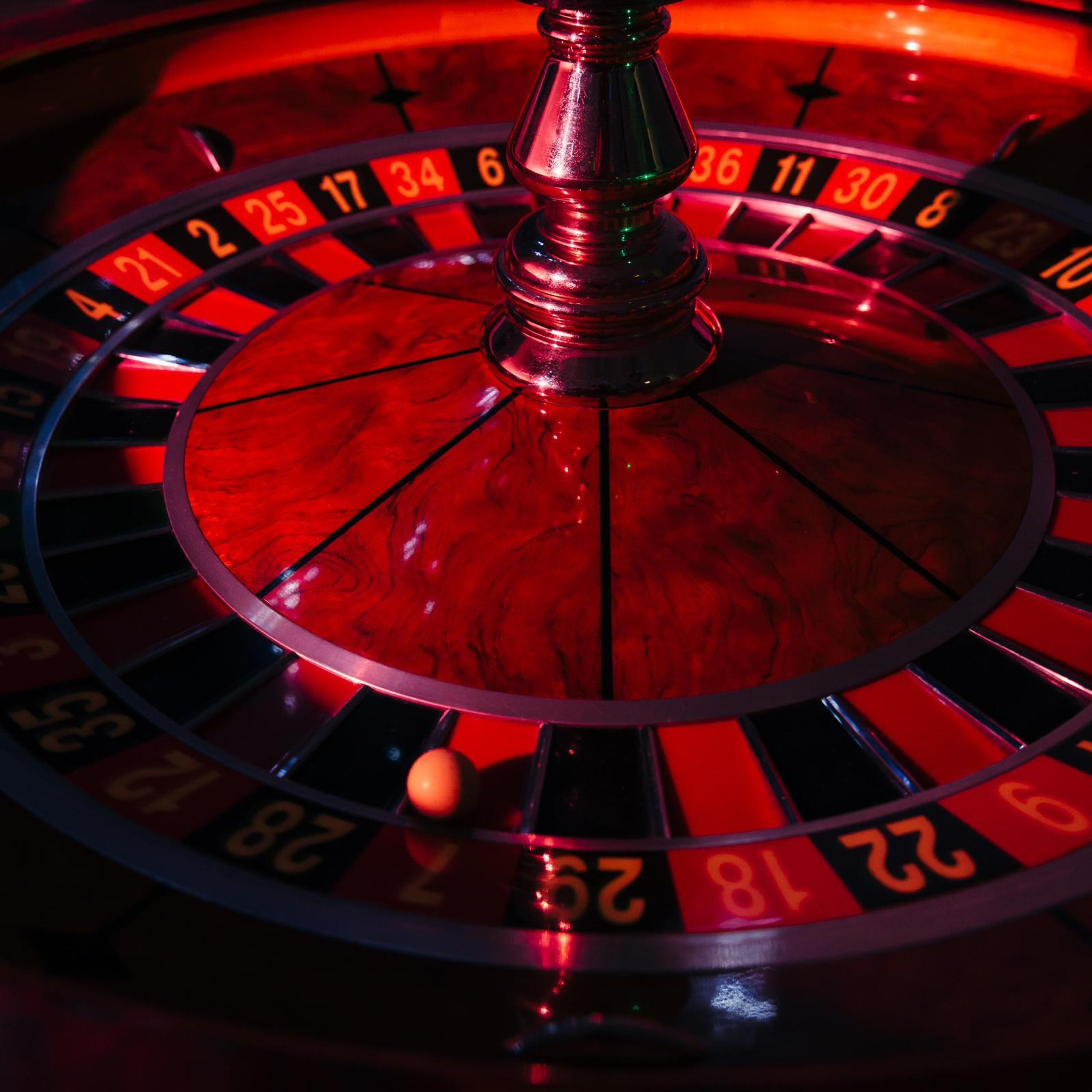 FEEDBACK. Свадебный и репортажный фотограф Виталий Кислицын