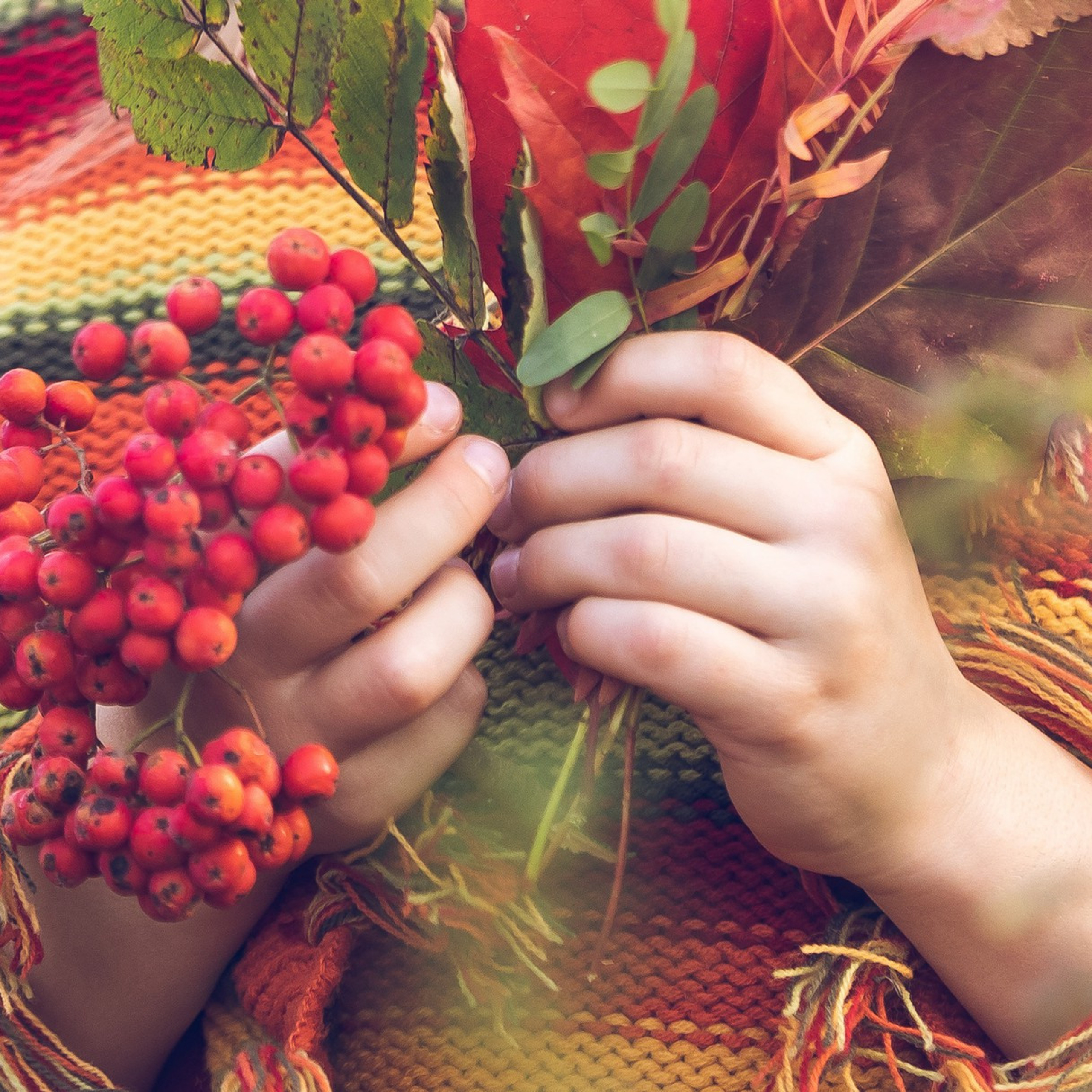 Фотокнига Золотая осень