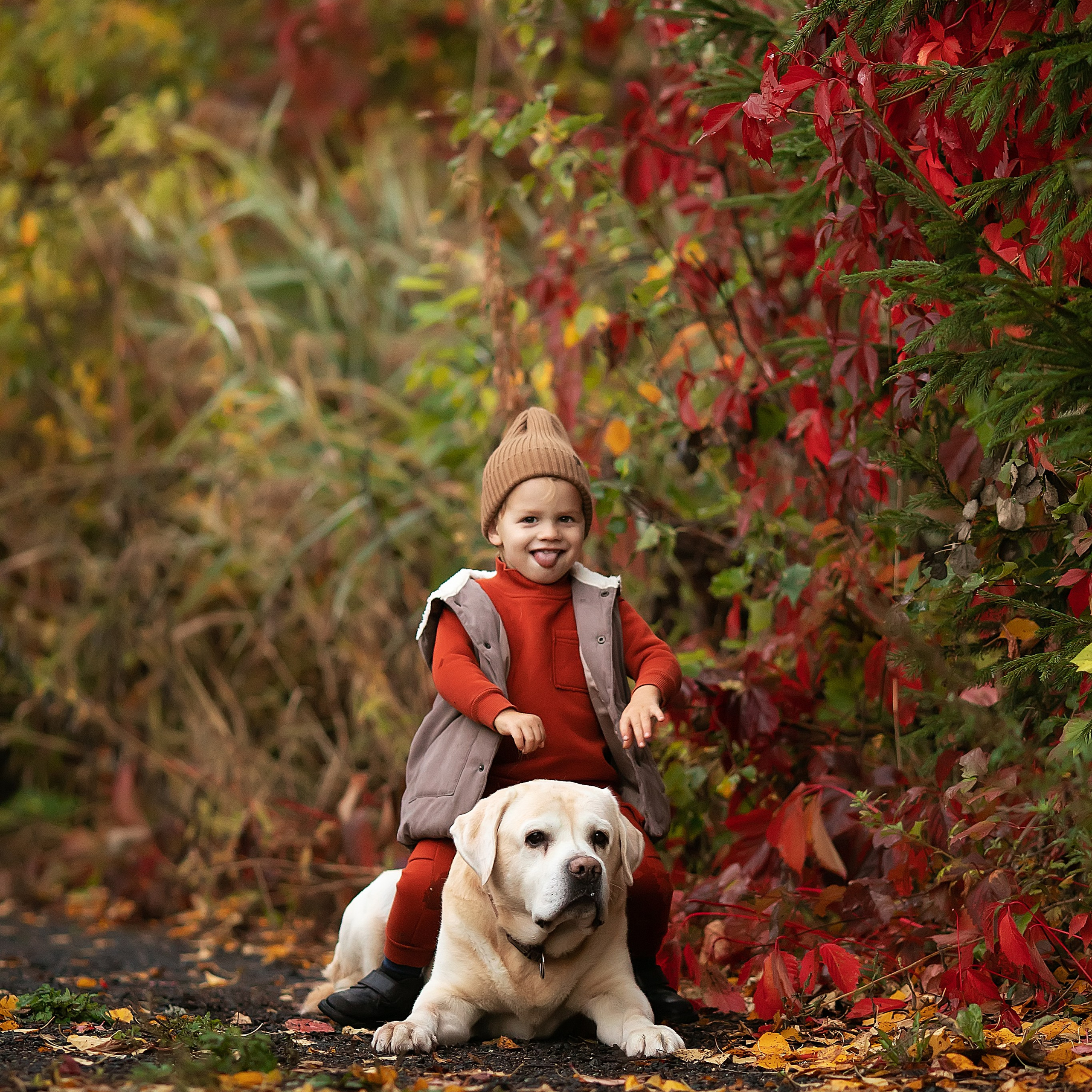 Сказочная осень
