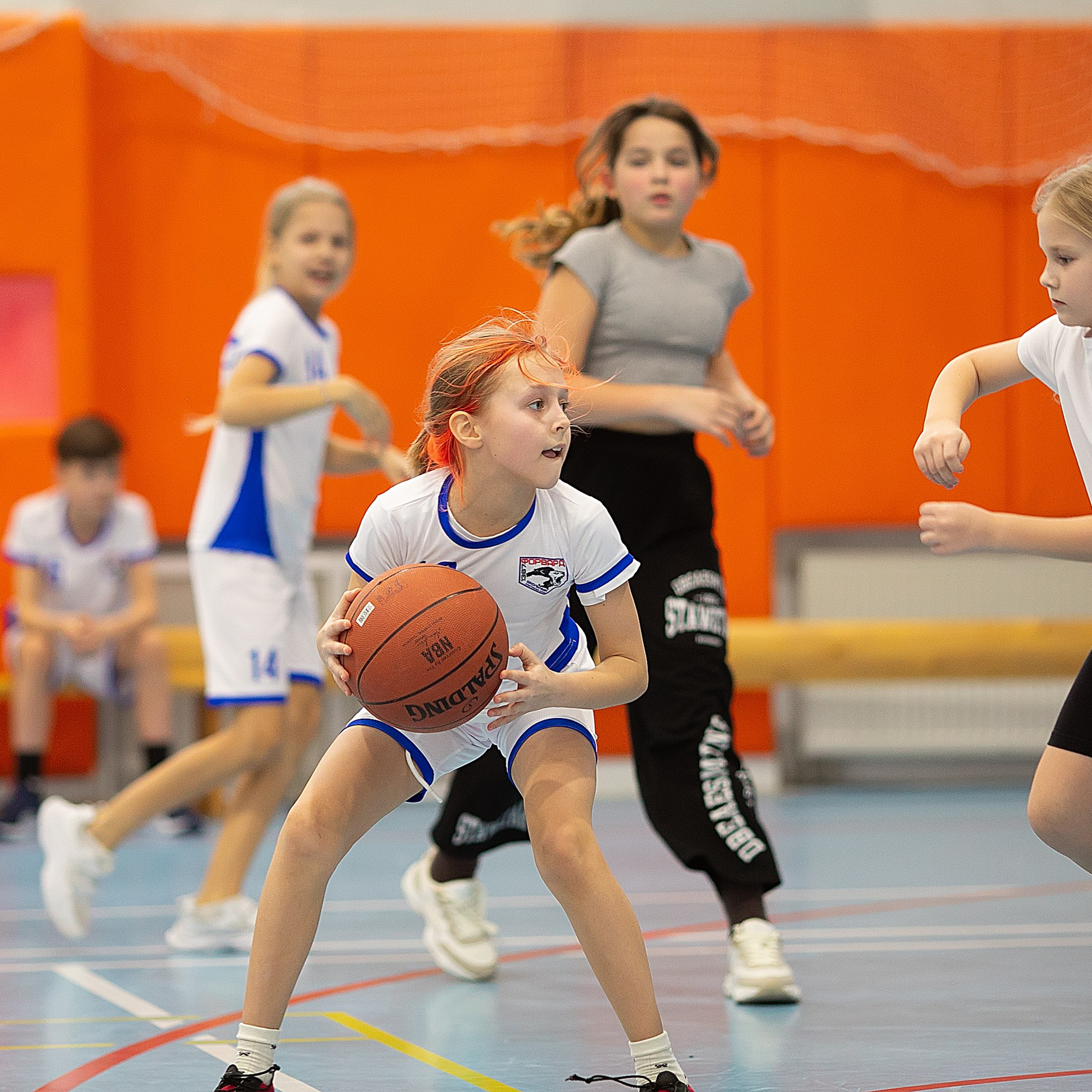 Баскетбол 1