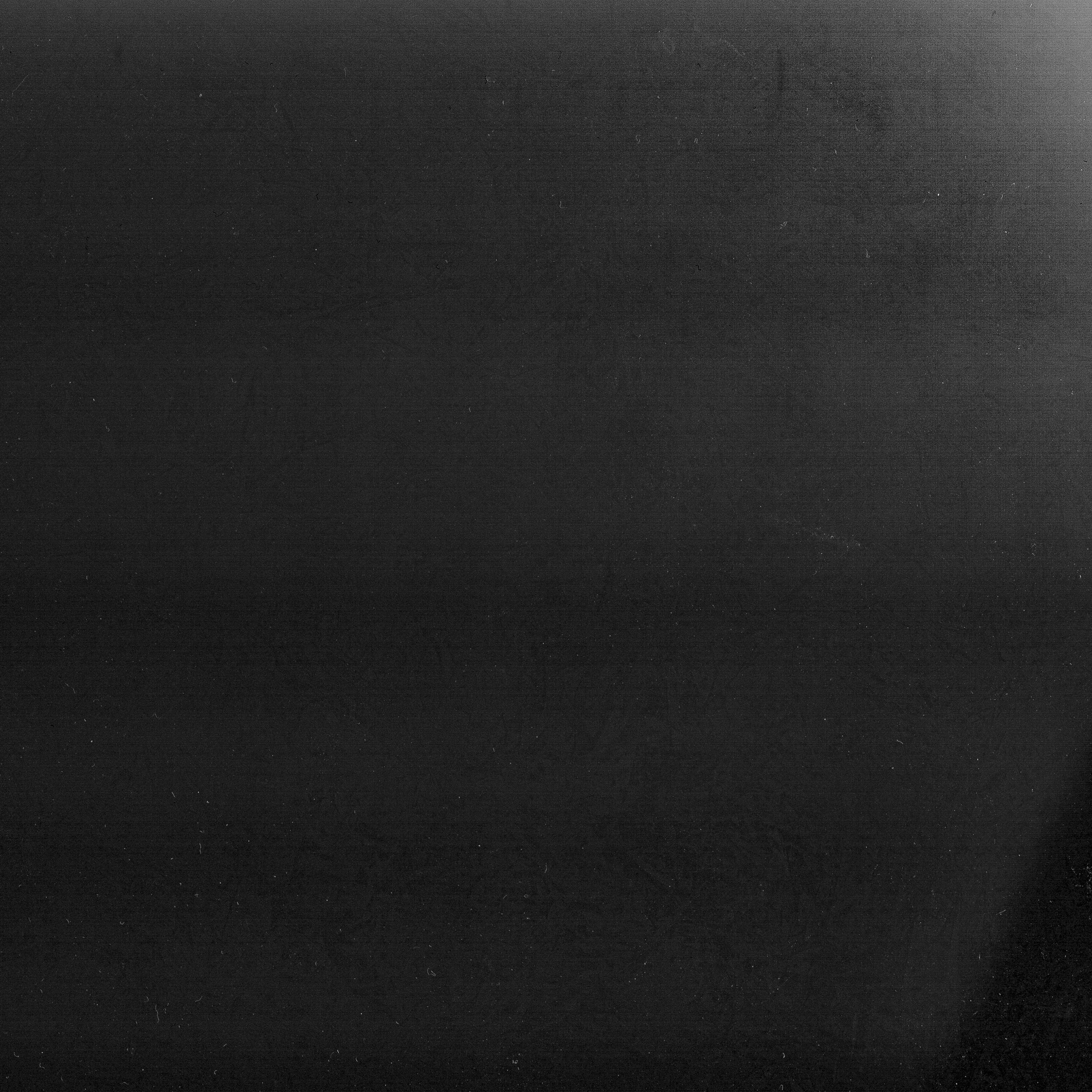 Отзывы на съемки Алексея Лукавского