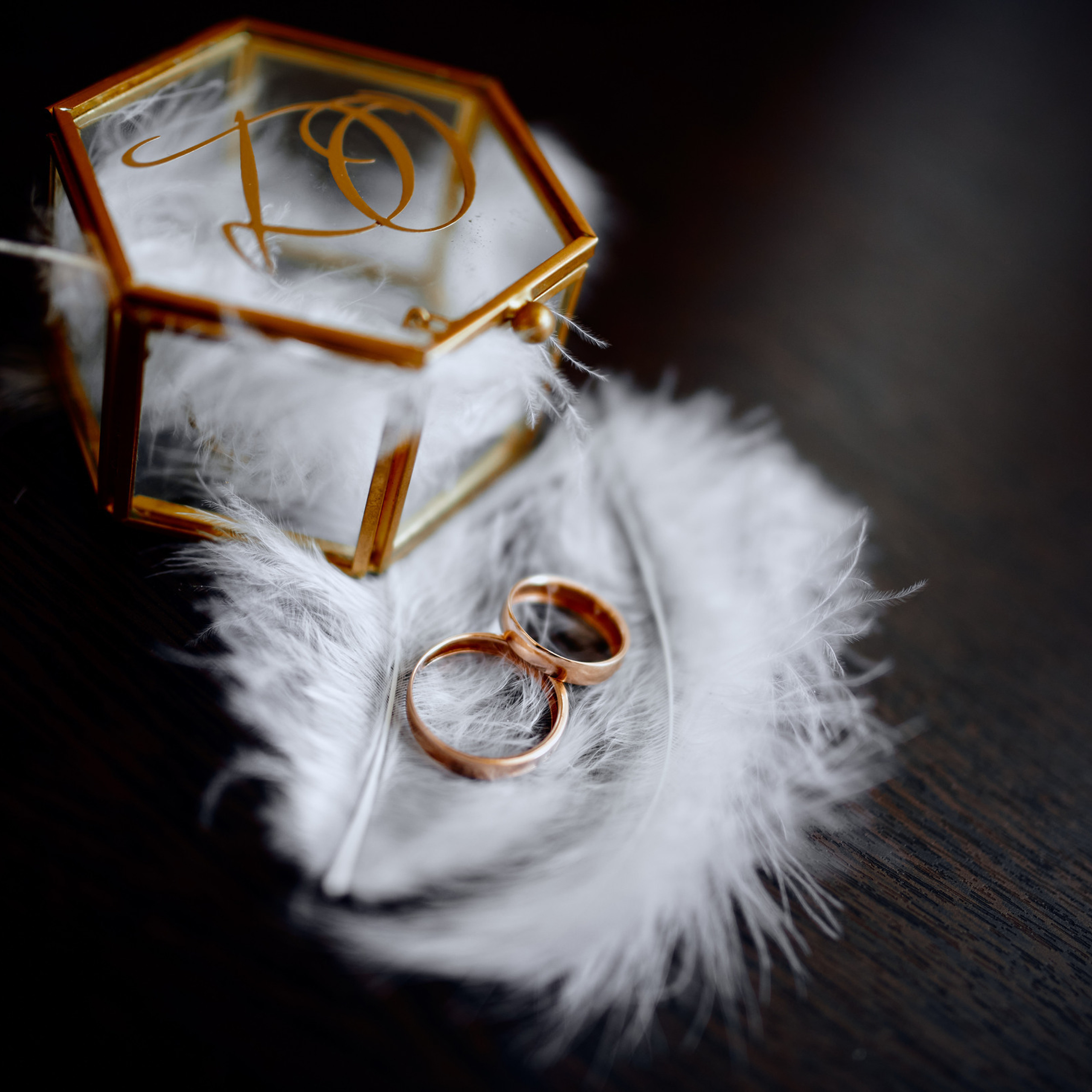 Дмитрий Емелин. Отзывы о фотографе. Фотограф в Саранске Дмитрий Емелин