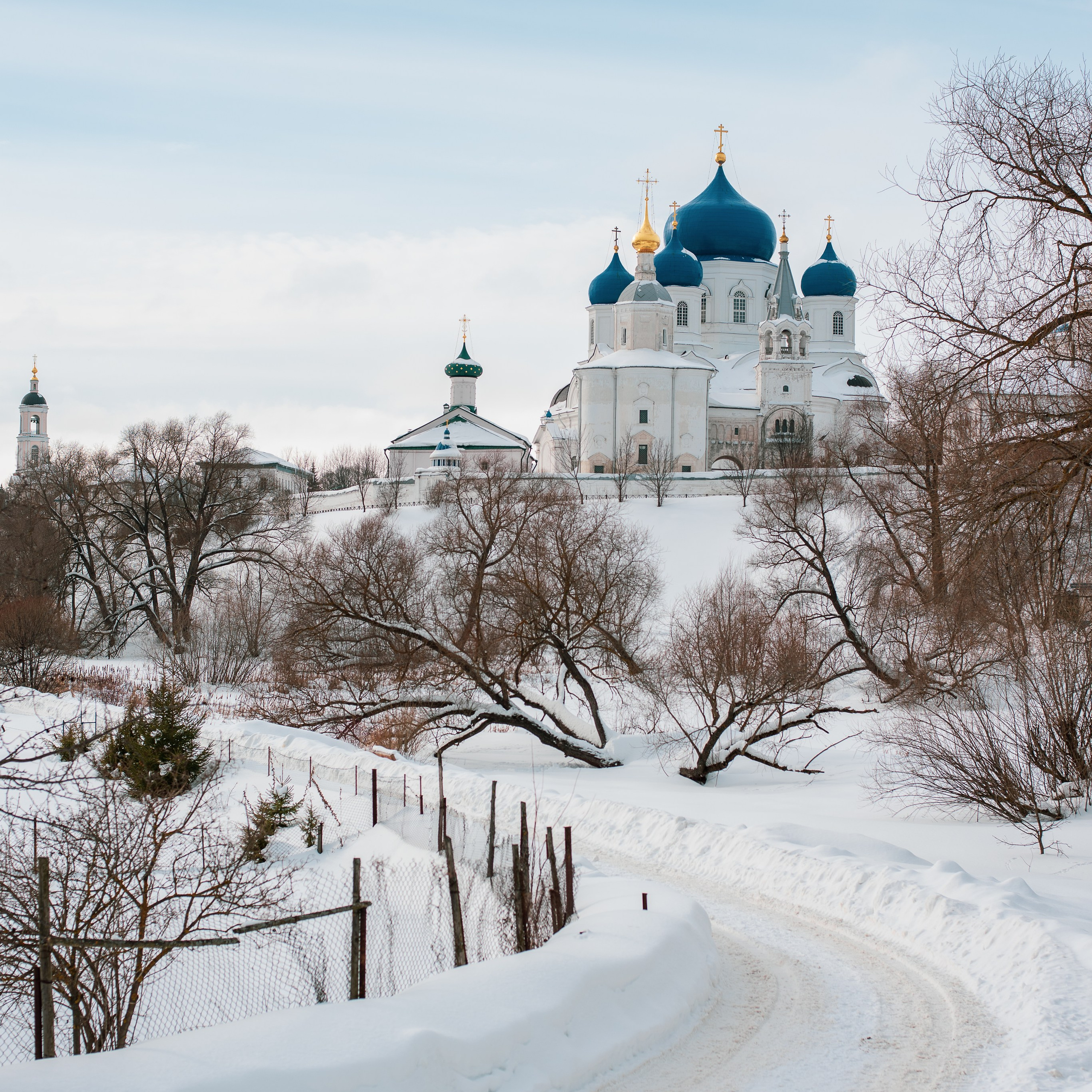 Отзывы. Семейный фотограф Екатерина Шаманаева