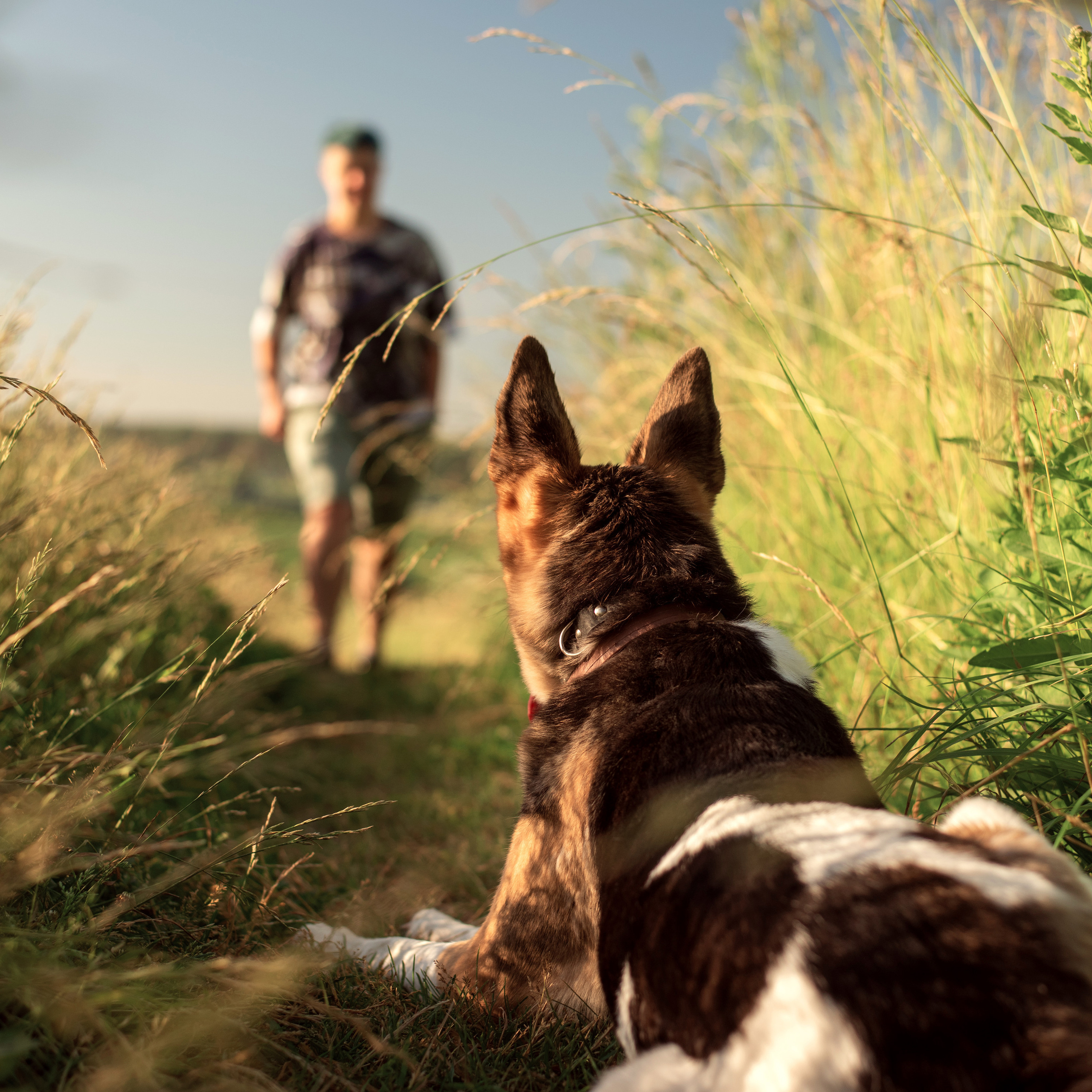 Отзывы. Семейный фотограф Екатерина Шаманаева