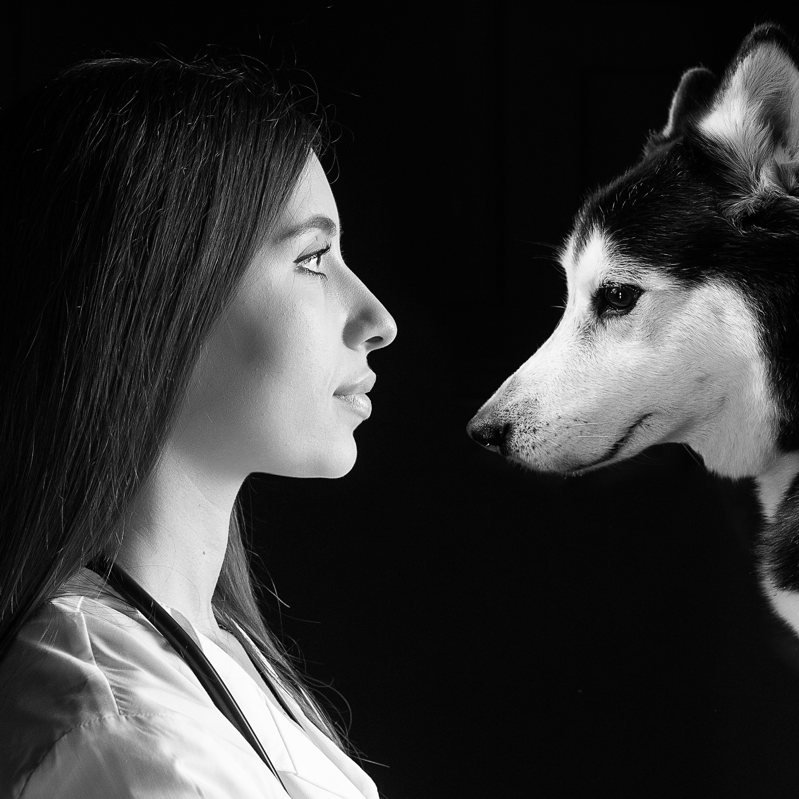 Мадлен. Портрет Ветеринара