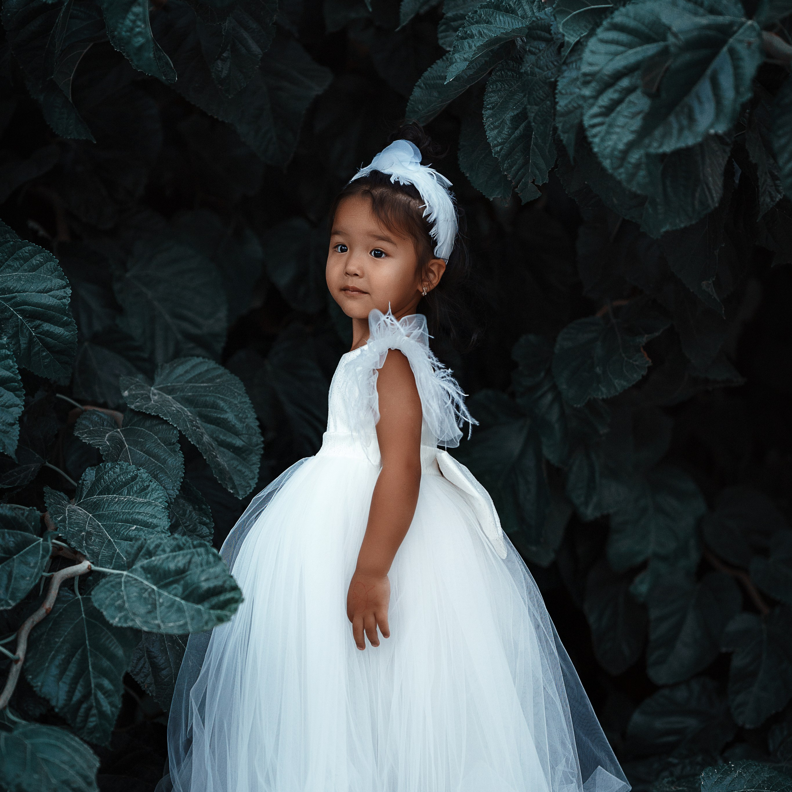 Сабина. Садовая рапсодия