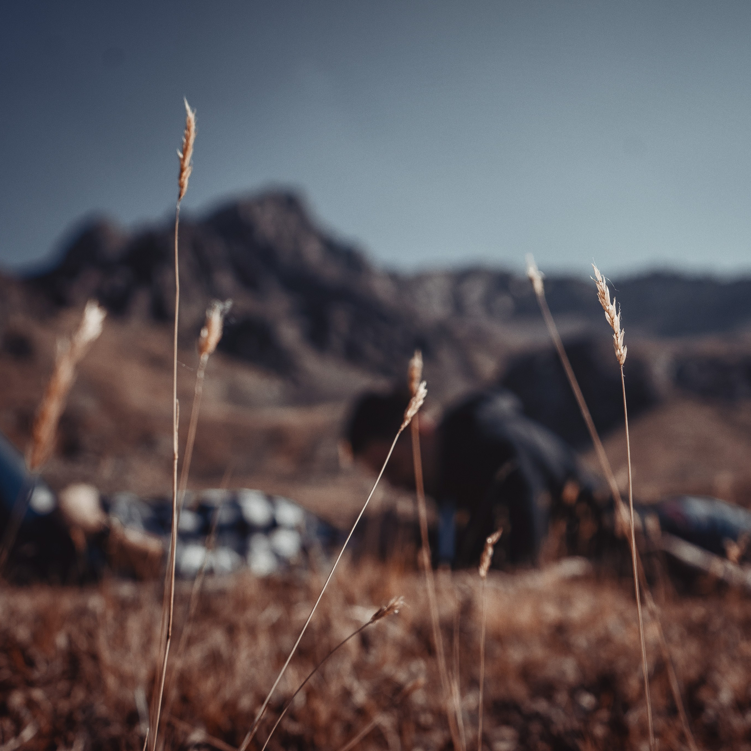 Натали и Артем