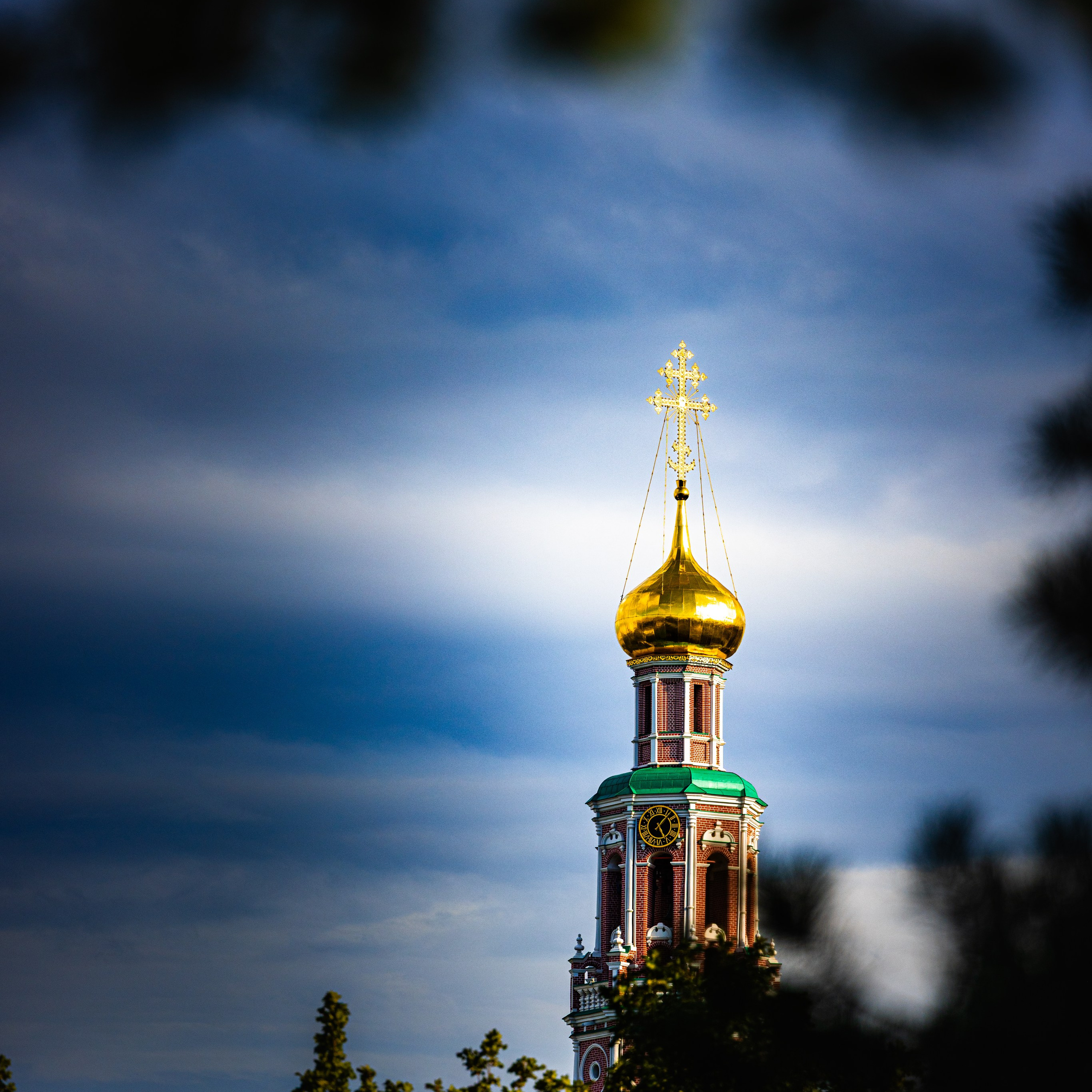 Москва. Новодевичий монастырь. Август 2025