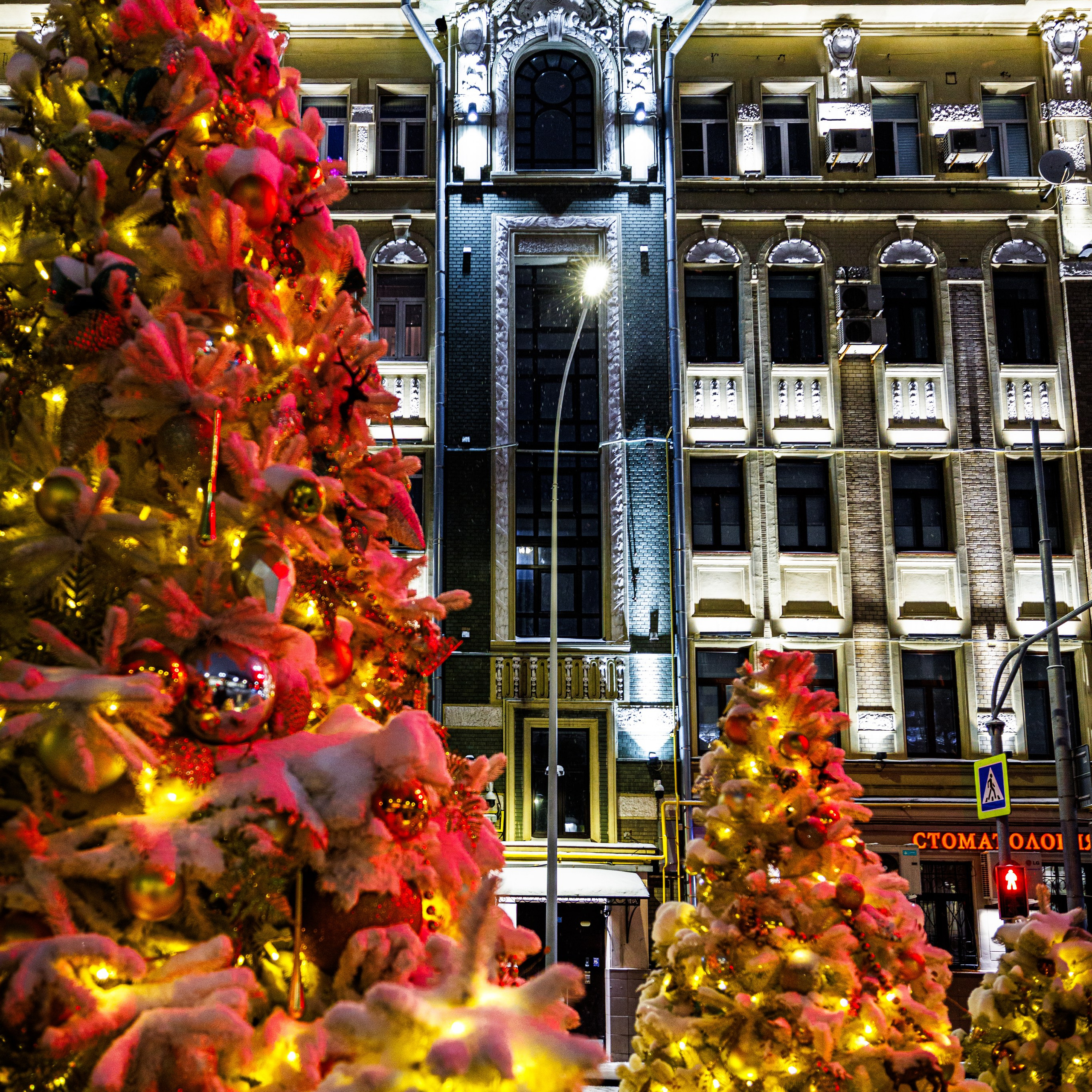 Бульвар. Январь 2026