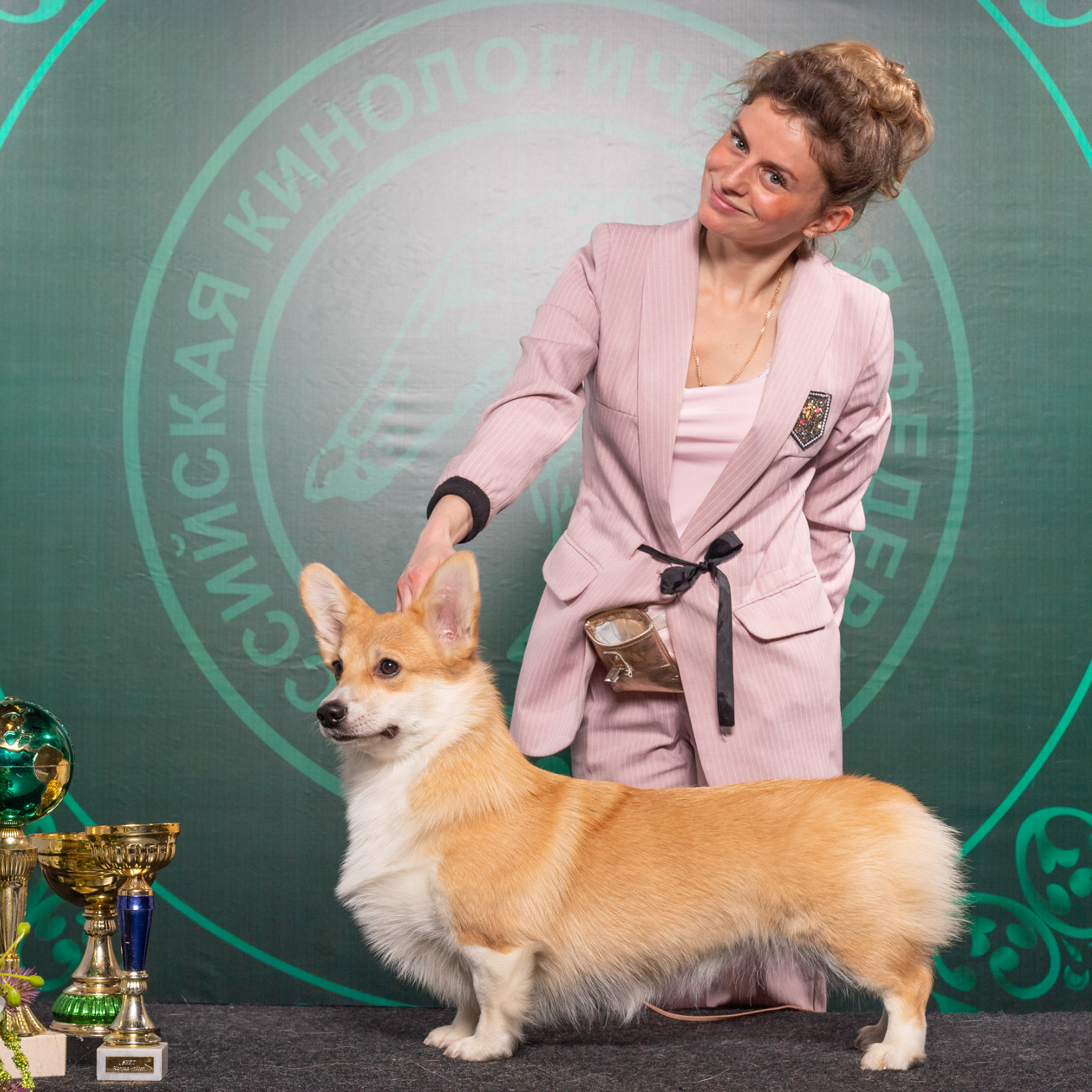 19.01.2020 Наши победители в объективе Дениса Сидоркова. Центр развития кинологии Звезда Невы