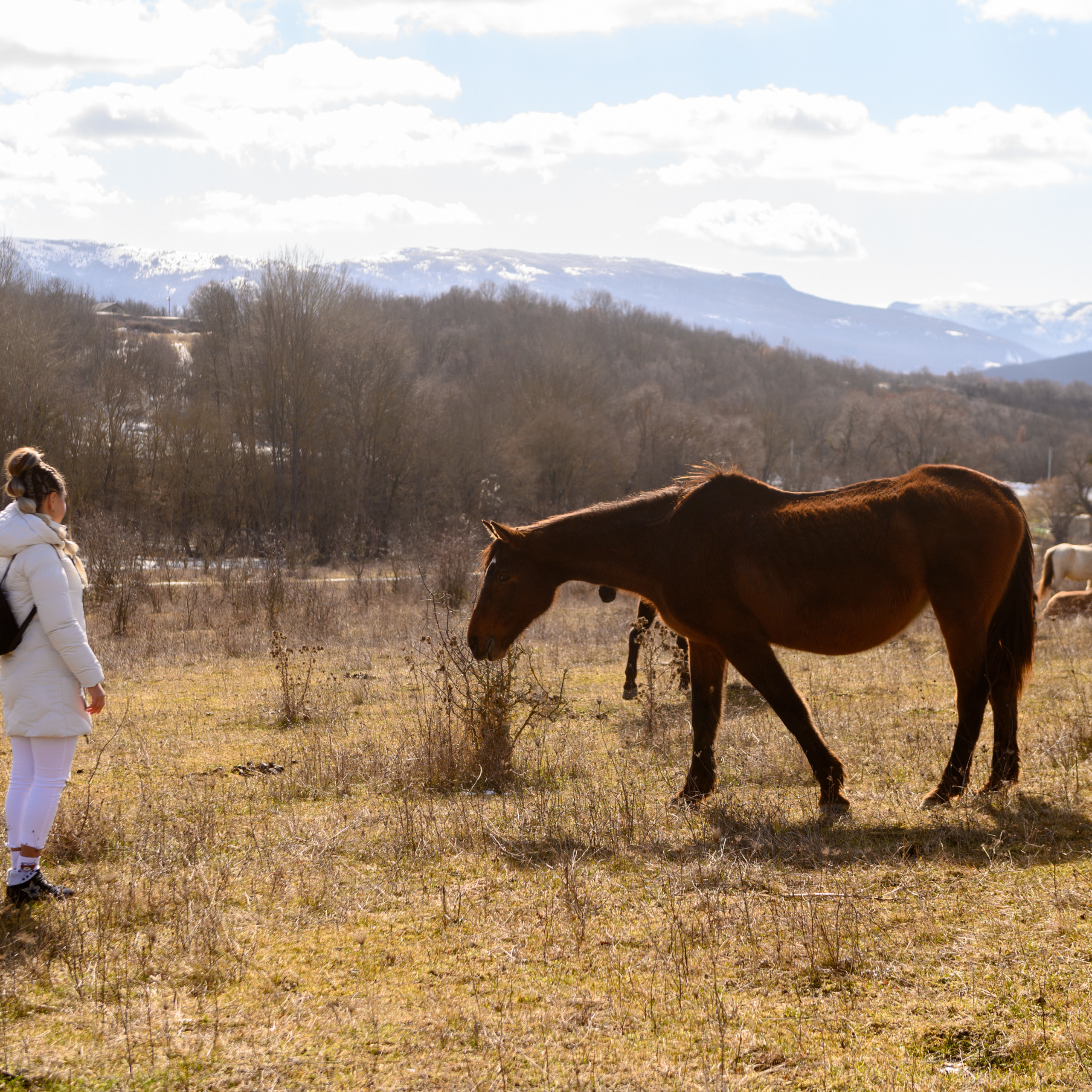 Зимний Крым. Фототуры, обучение, фотограф Анастасия Забелина в Крыму и Севастополе