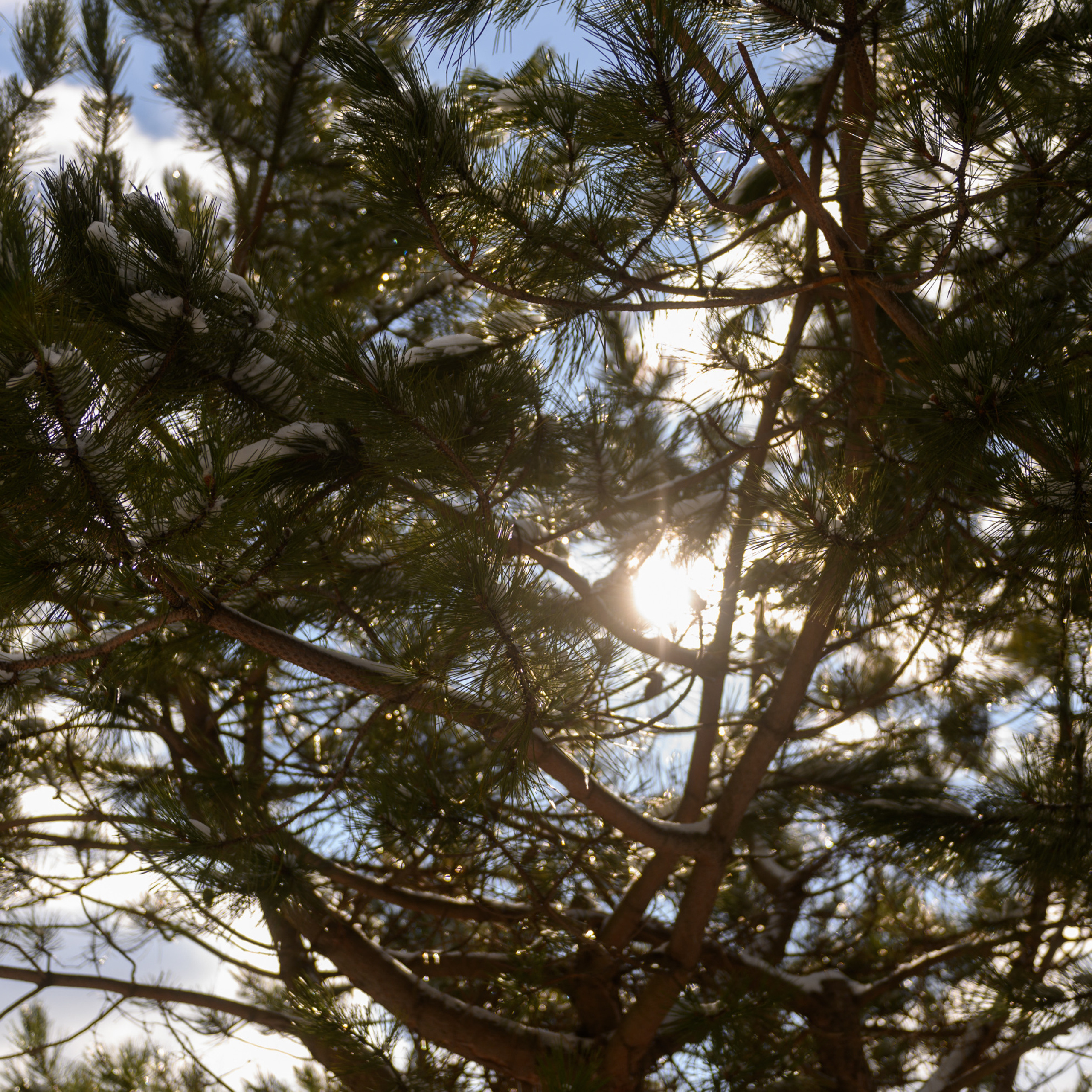 Зимний Крым. Фототуры, обучение, фотограф Анастасия Забелина в Крыму и Севастополе