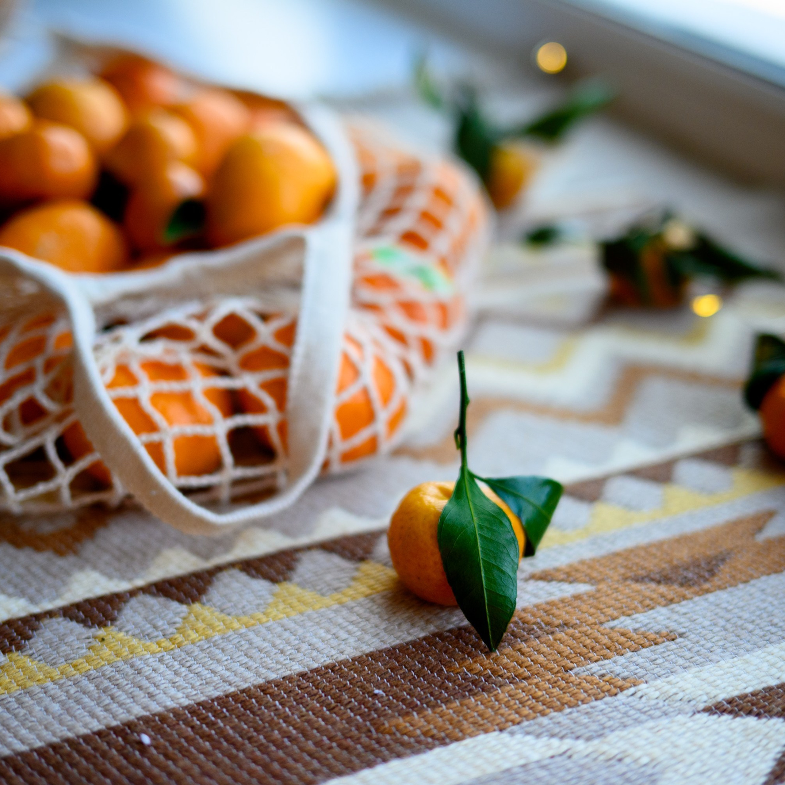 Отзывы о фотосессиях, обучении и путешествиях. Фототуры, обучение, фотограф Анастасия Забелина в Крыму и Севастополе