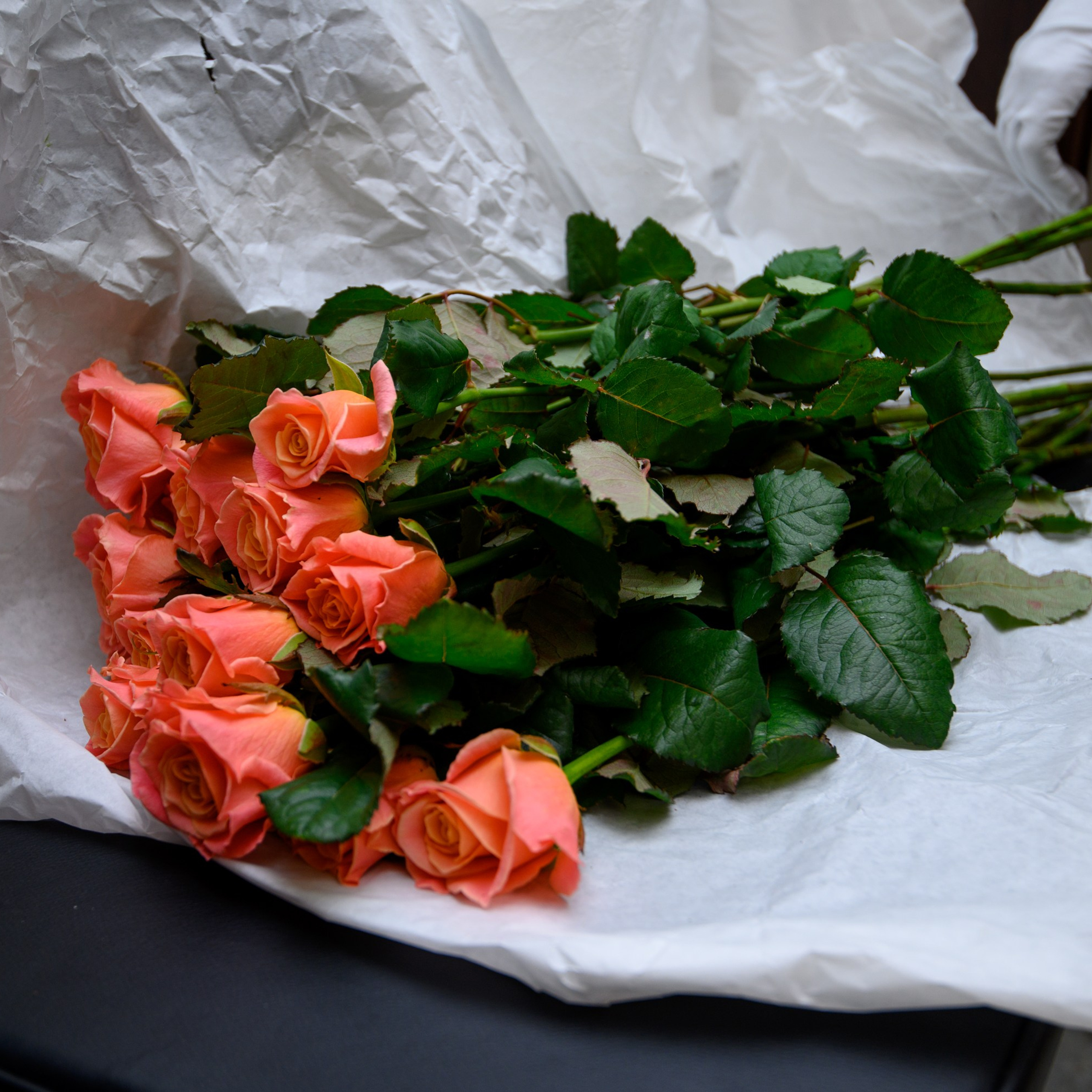 Отзывы о фотосессиях, обучении и путешествиях. Фототуры, обучение, фотограф Анастасия Забелина в Крыму и Севастополе