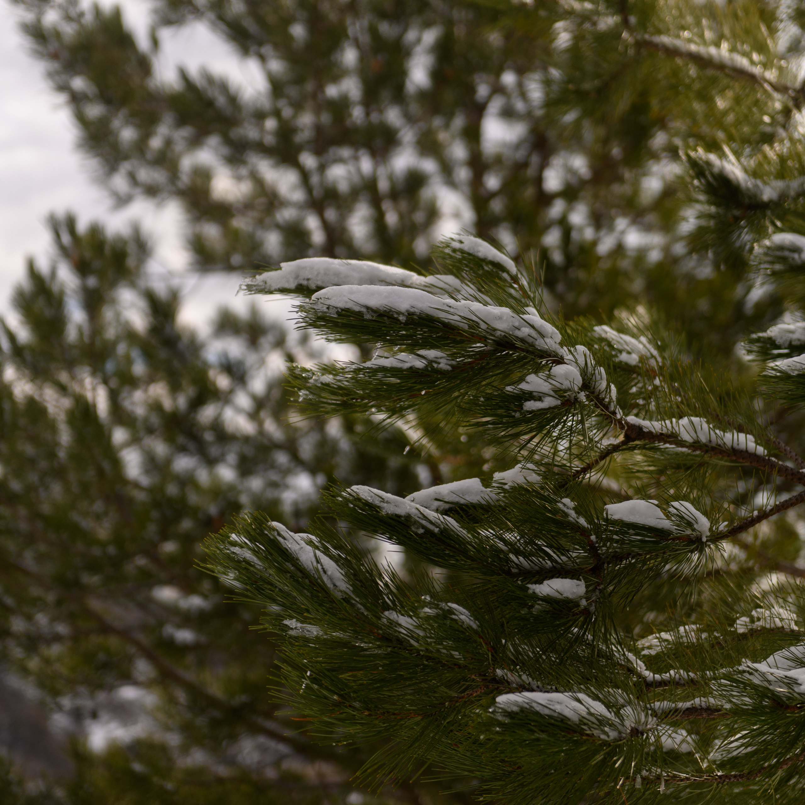 Зимний Крым. Фототуры, обучение, фотограф Анастасия Забелина в Крыму и Севастополе