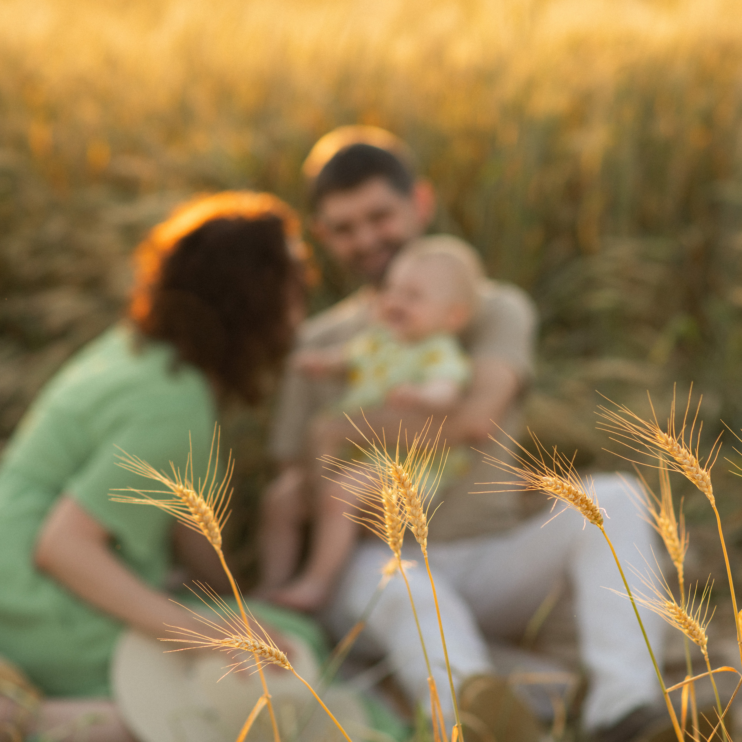 Отзывы. Фотограф Алиса Чечина. Калуга. Товарково
