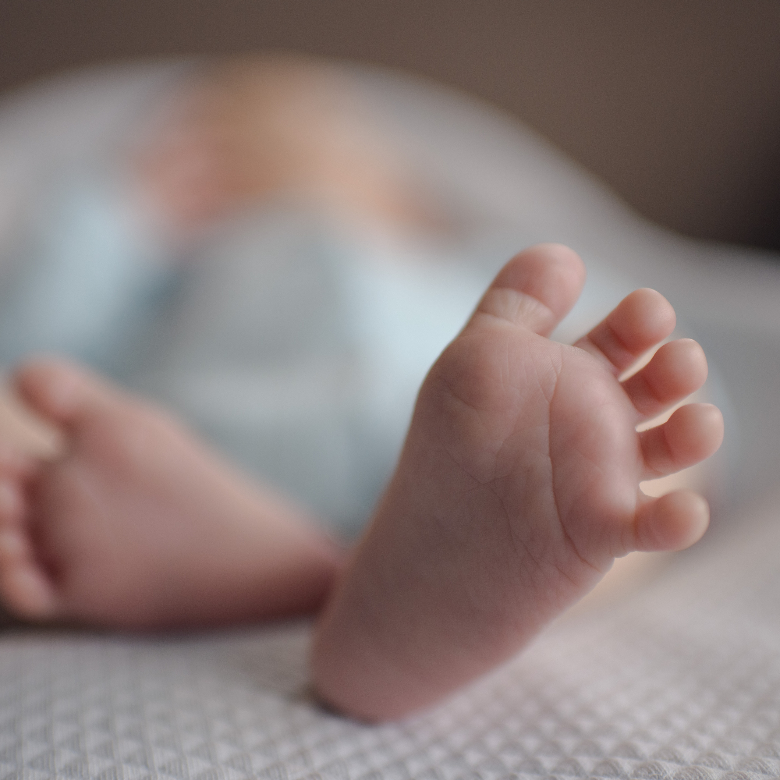 Отзывы. Фотограф Алиса Чечина. Калуга. Товарково