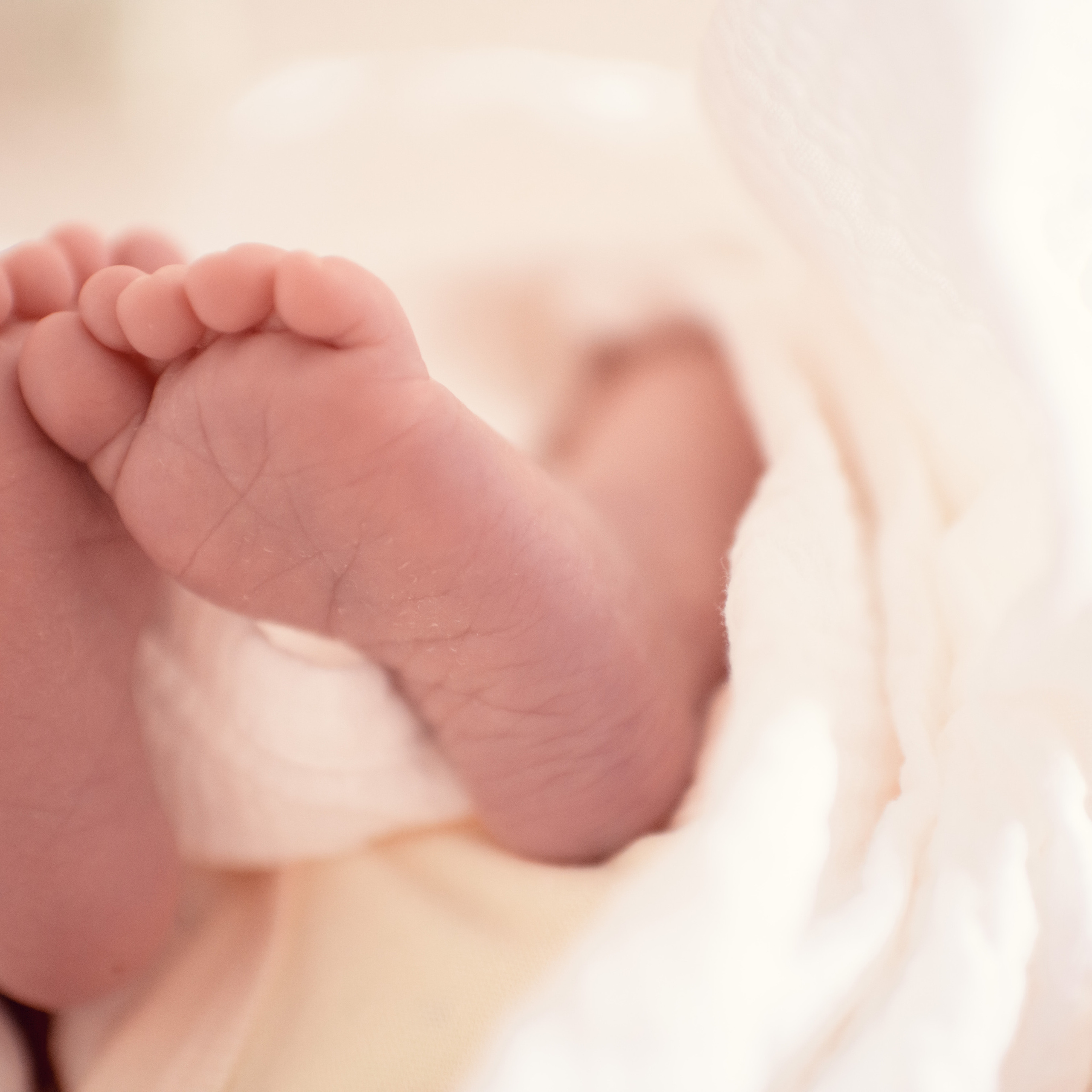 Отзывы. Фотограф Алиса Чечина. Калуга. Товарково