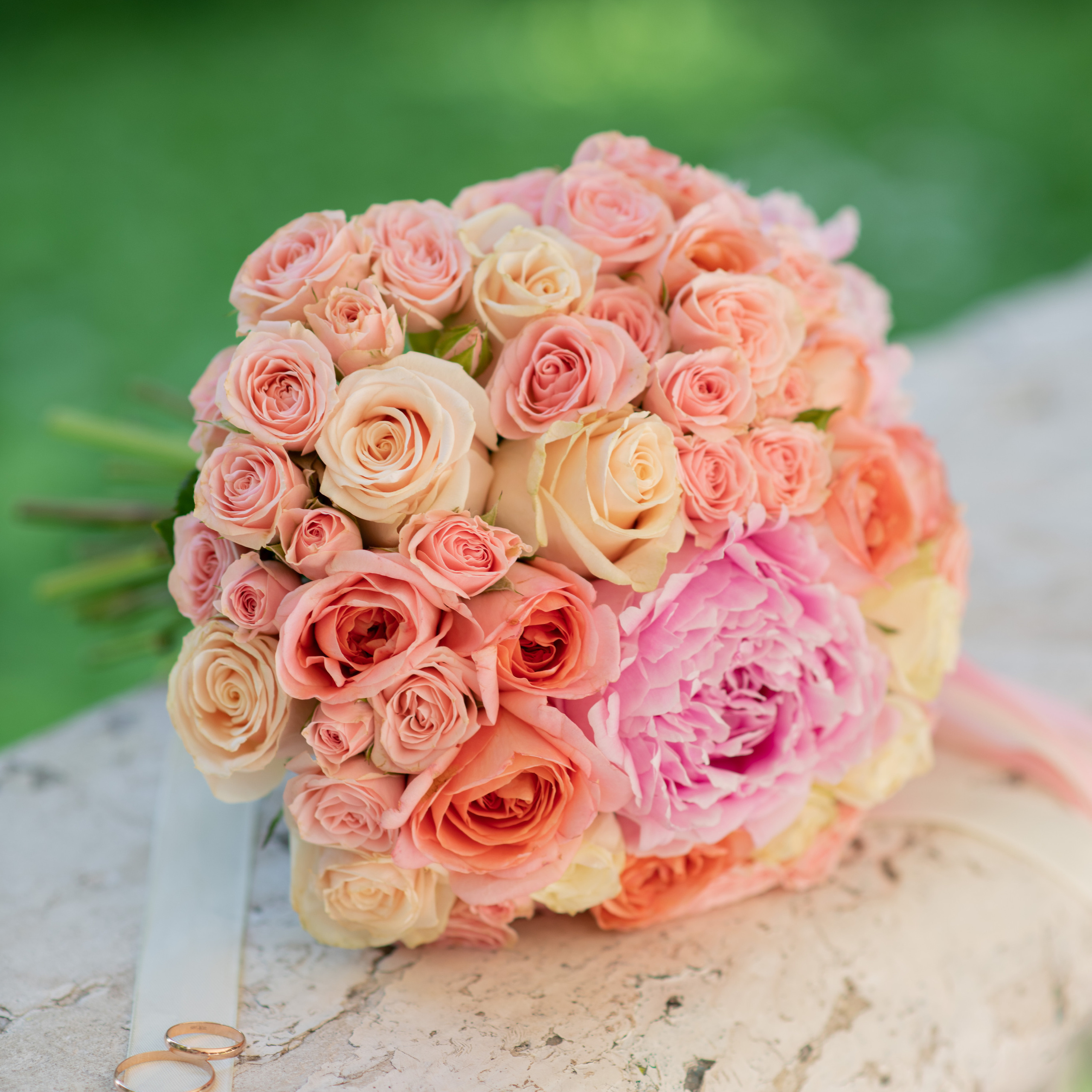 Отзывы. Фотограф Алиса Чечина. Калуга. Товарково