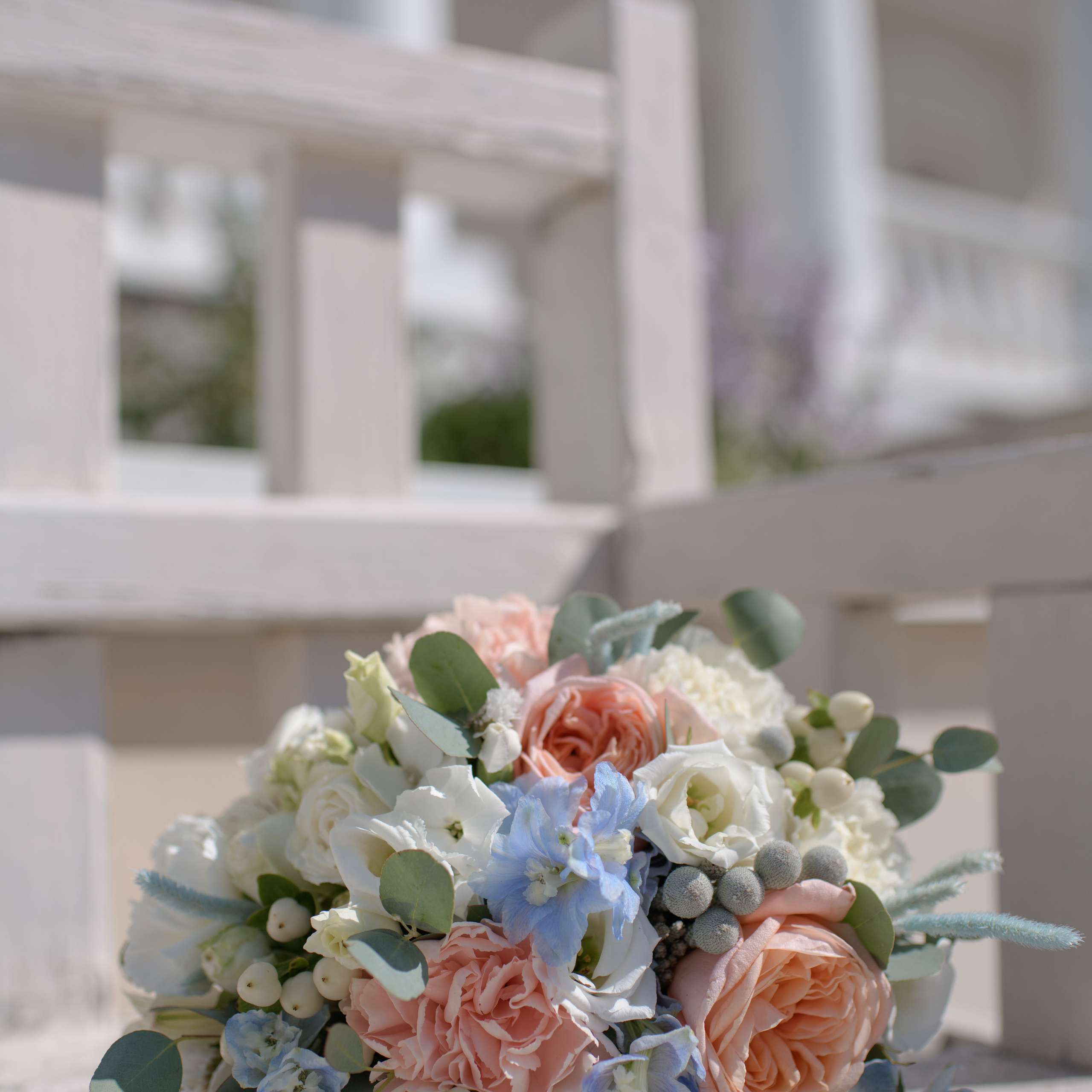 Отзывы. Фотограф Алиса Чечина. Калуга. Товарково