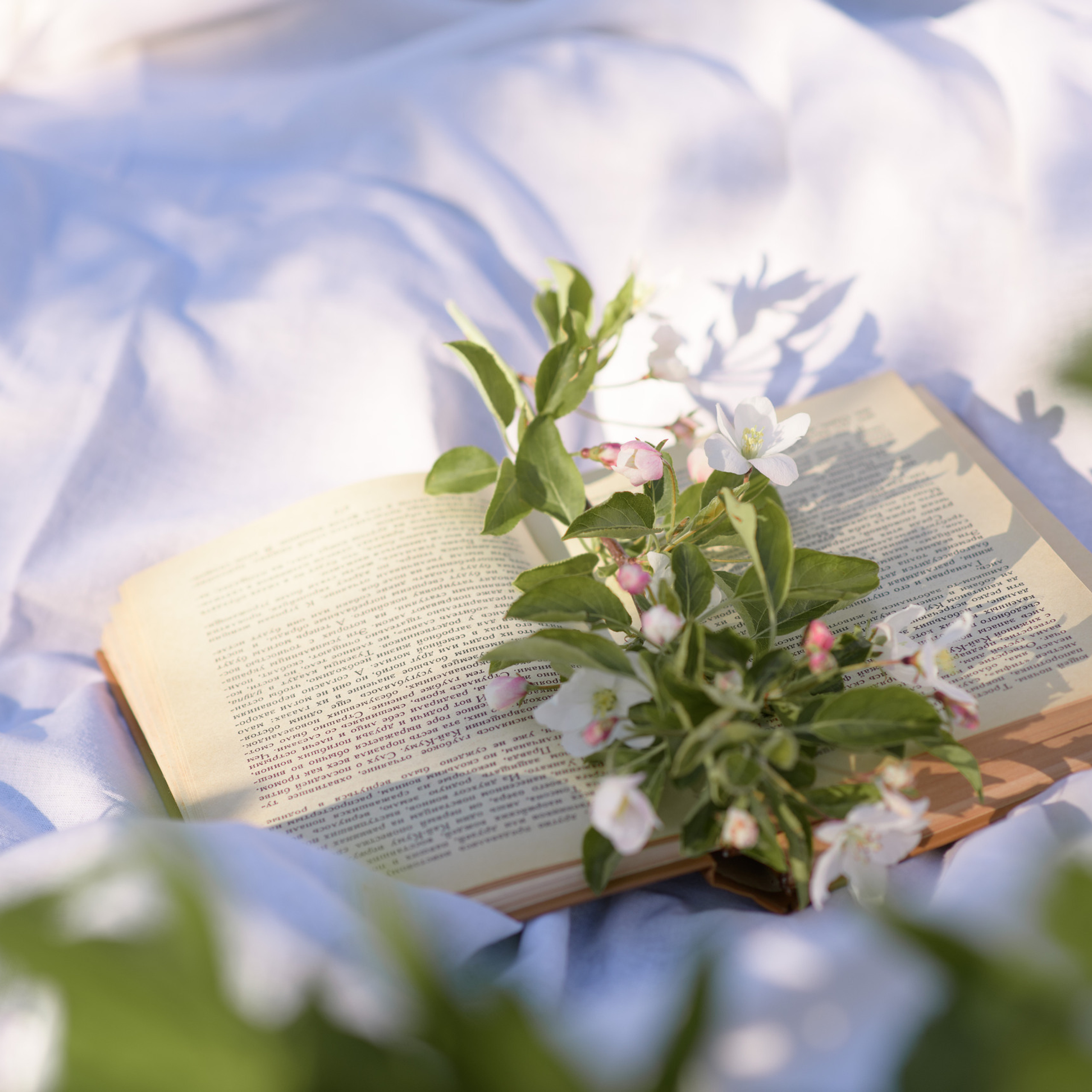 Отзывы. Фотограф Алиса Чечина. Калуга. Товарково